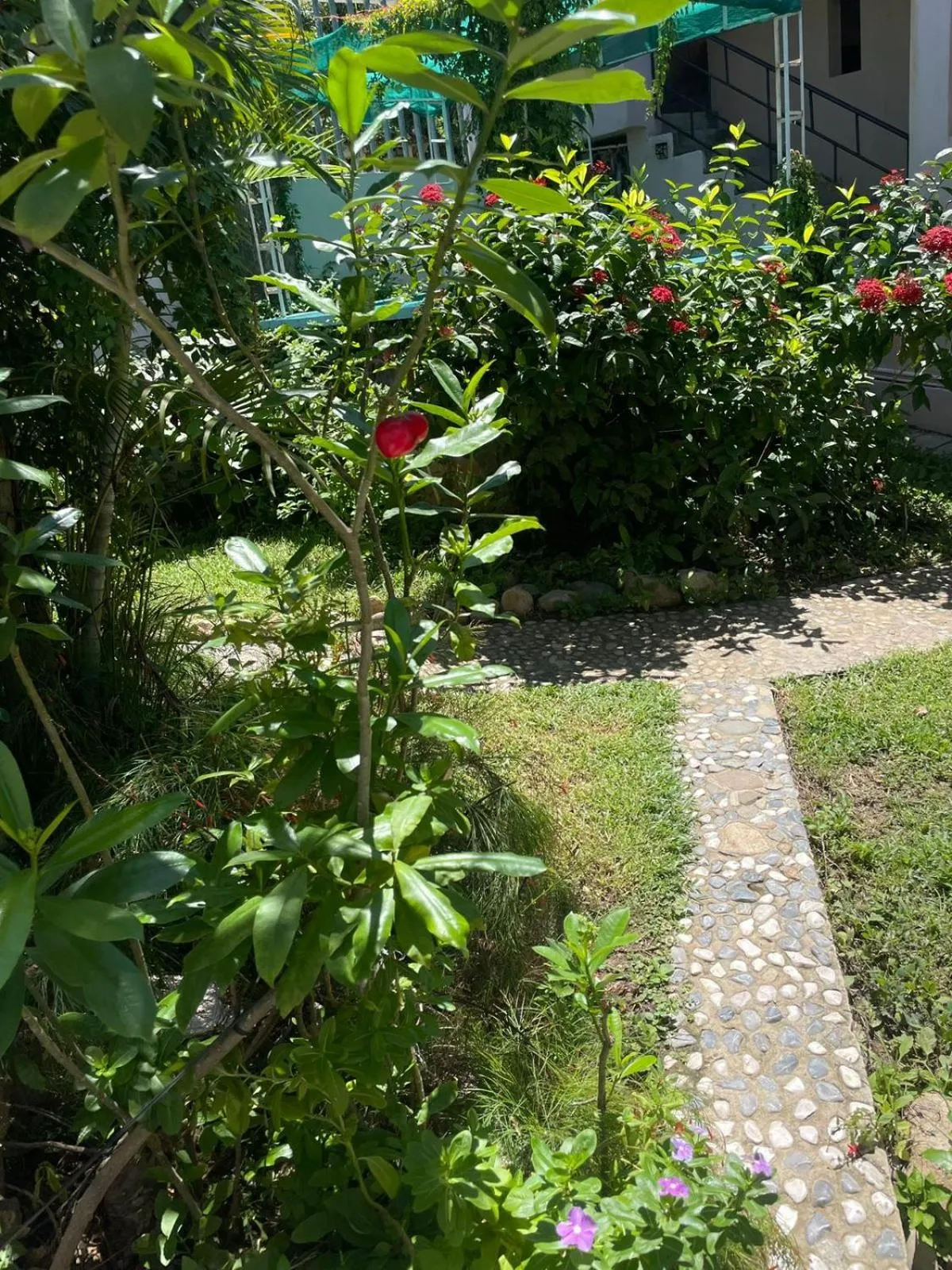 Garden in Hotel Bigu