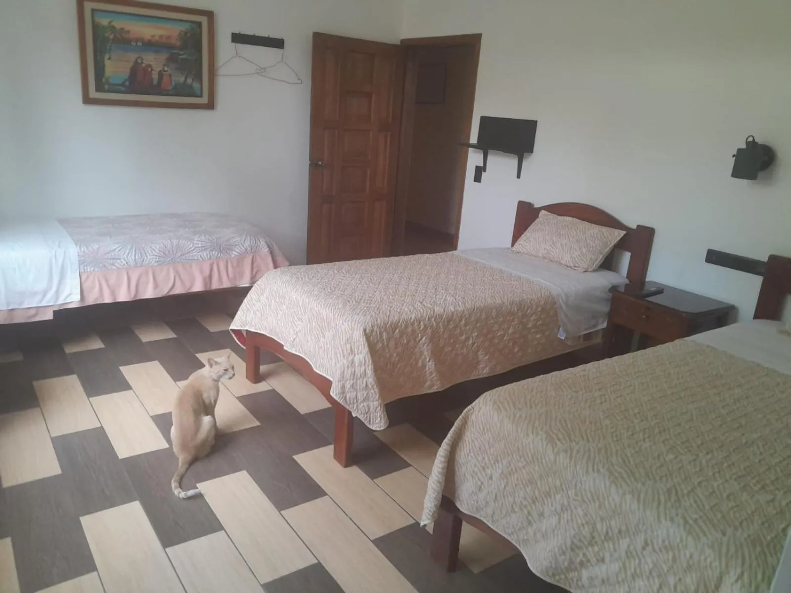 Bed in Hostal Limoncocha