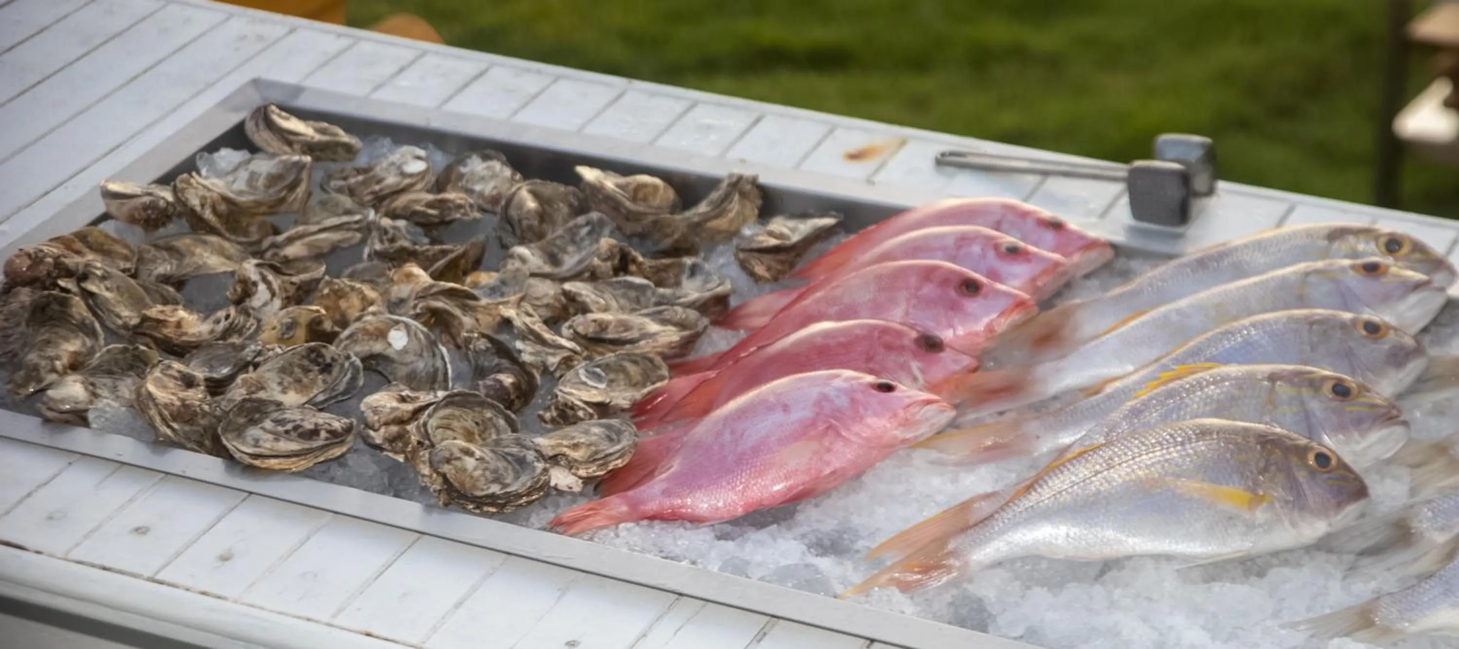 BBQ facilities in Morabito Art Villa