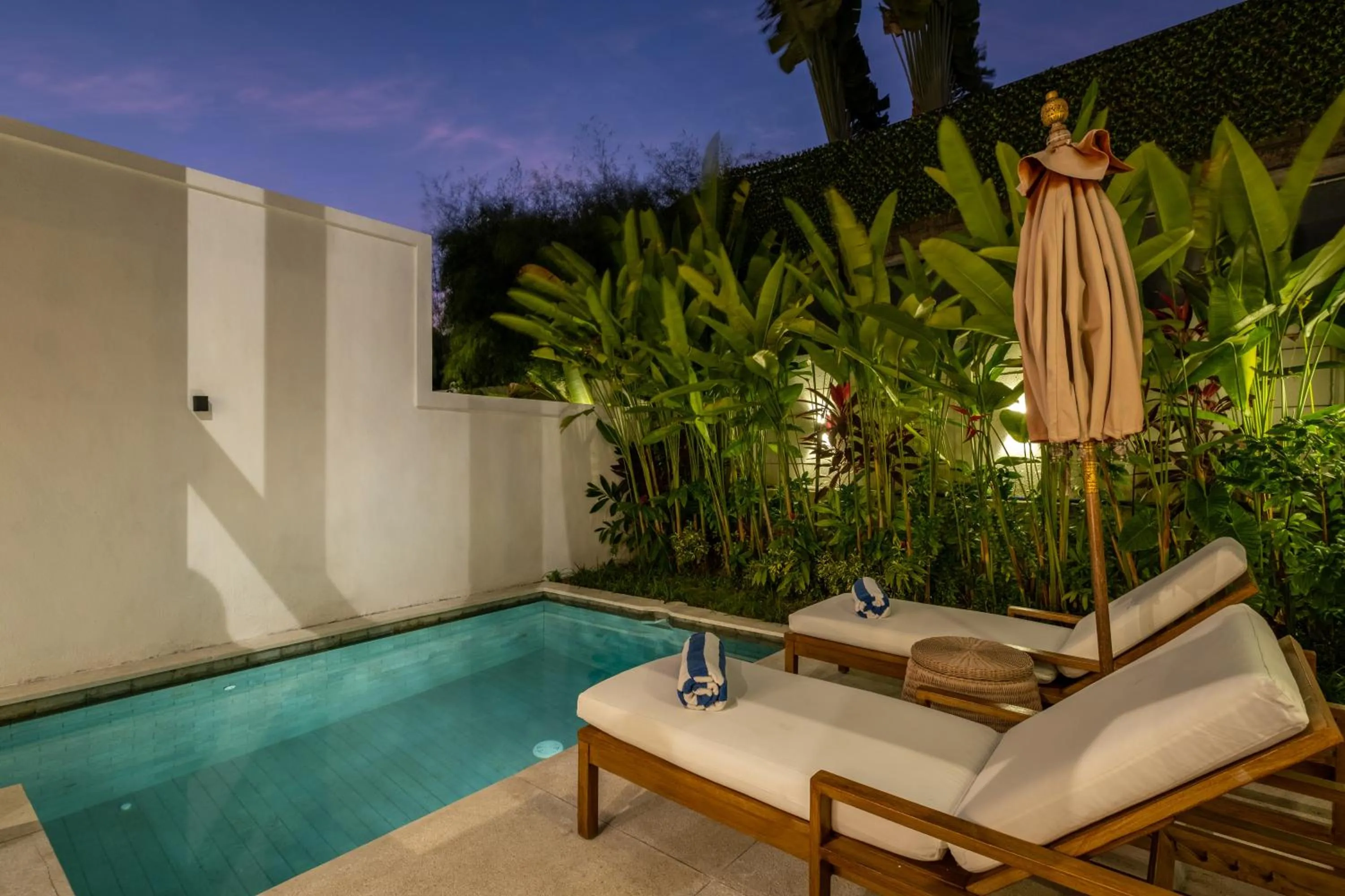 Swimming pool in Villa Isola Gallinara