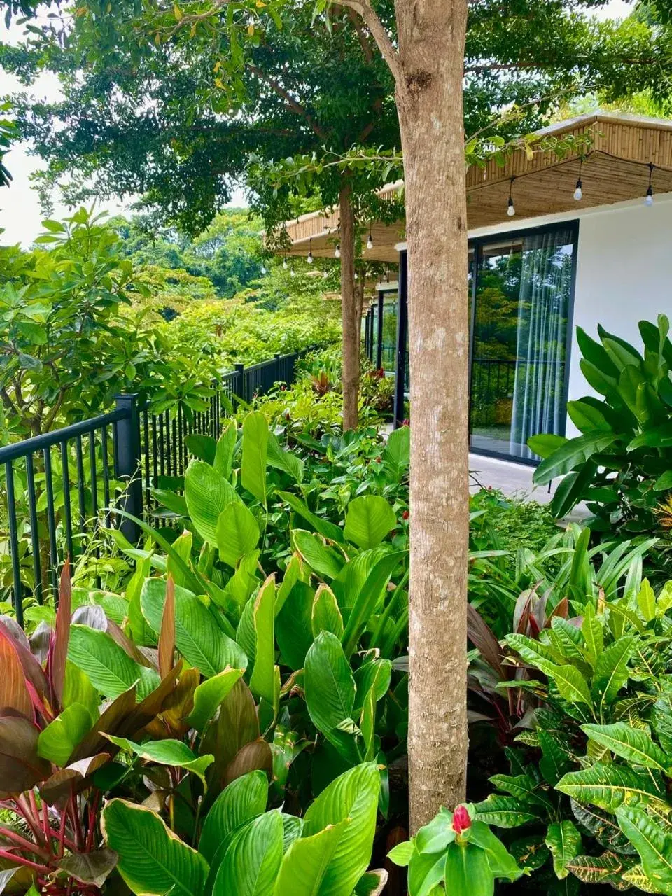 Babylon Mini Resort Babylon Mini Resort