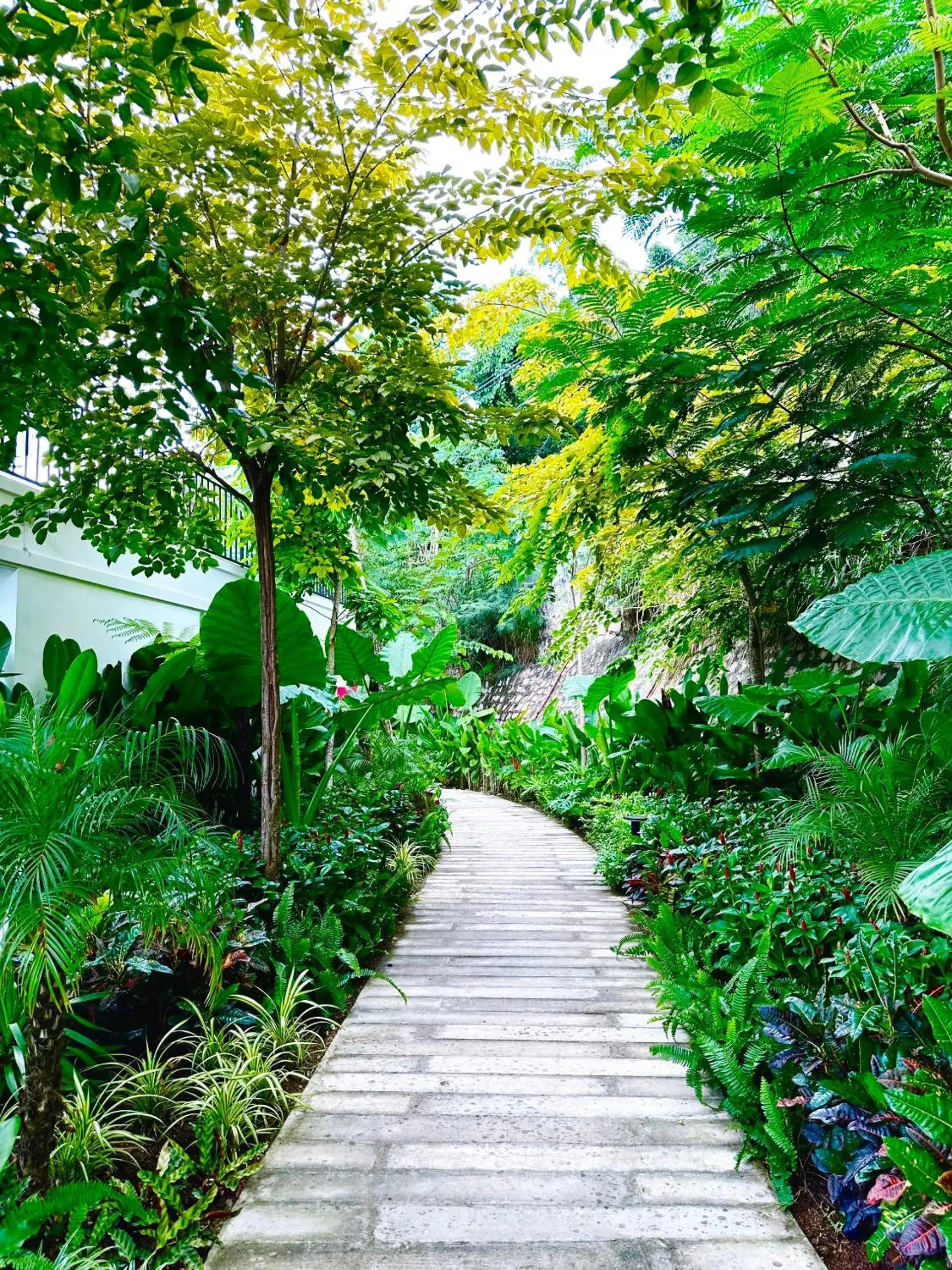 Babylon Mini Resort Babylon Mini Resort