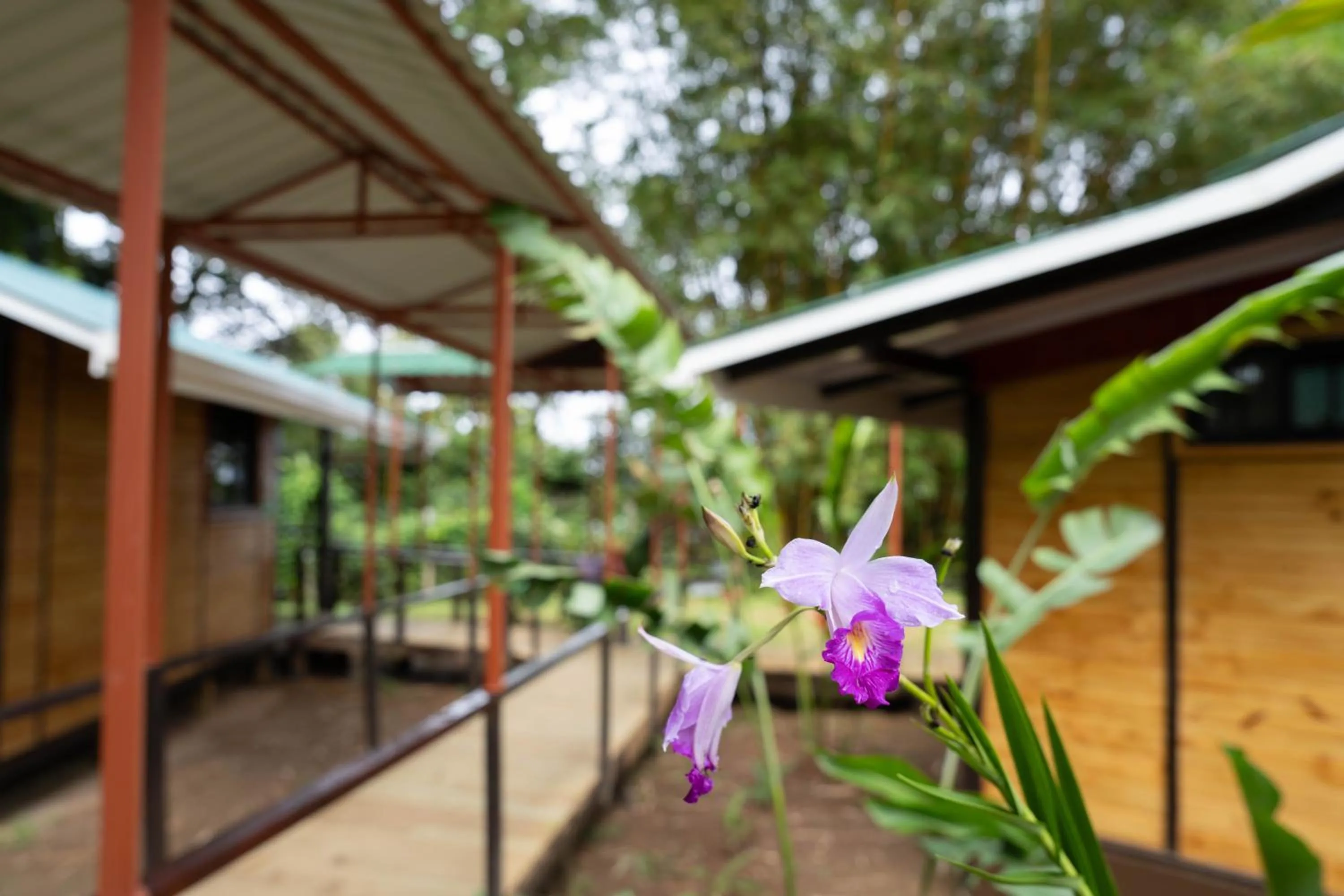 Property building in Pirate Cove