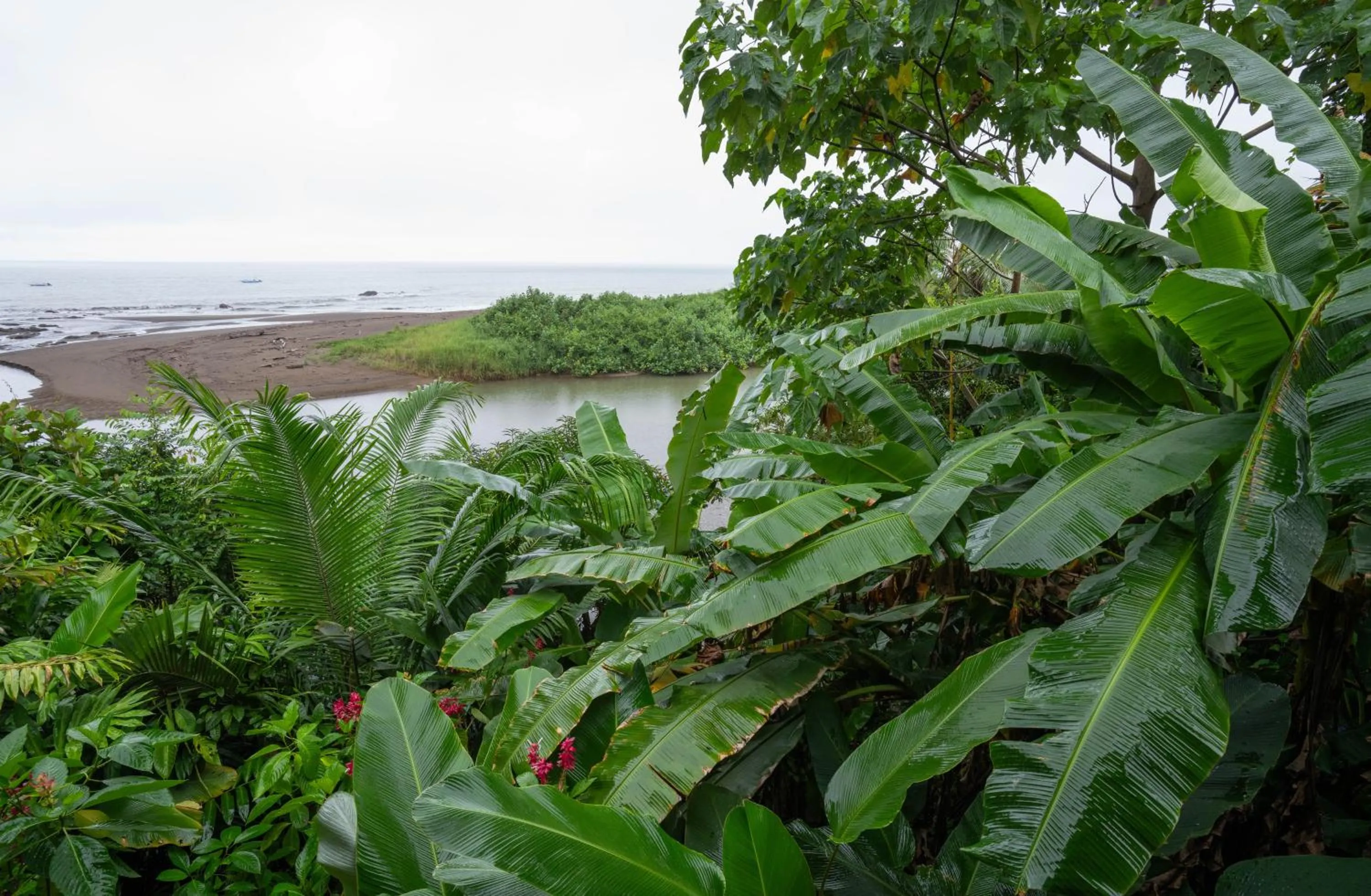 Natural landscape in Pirate Cove