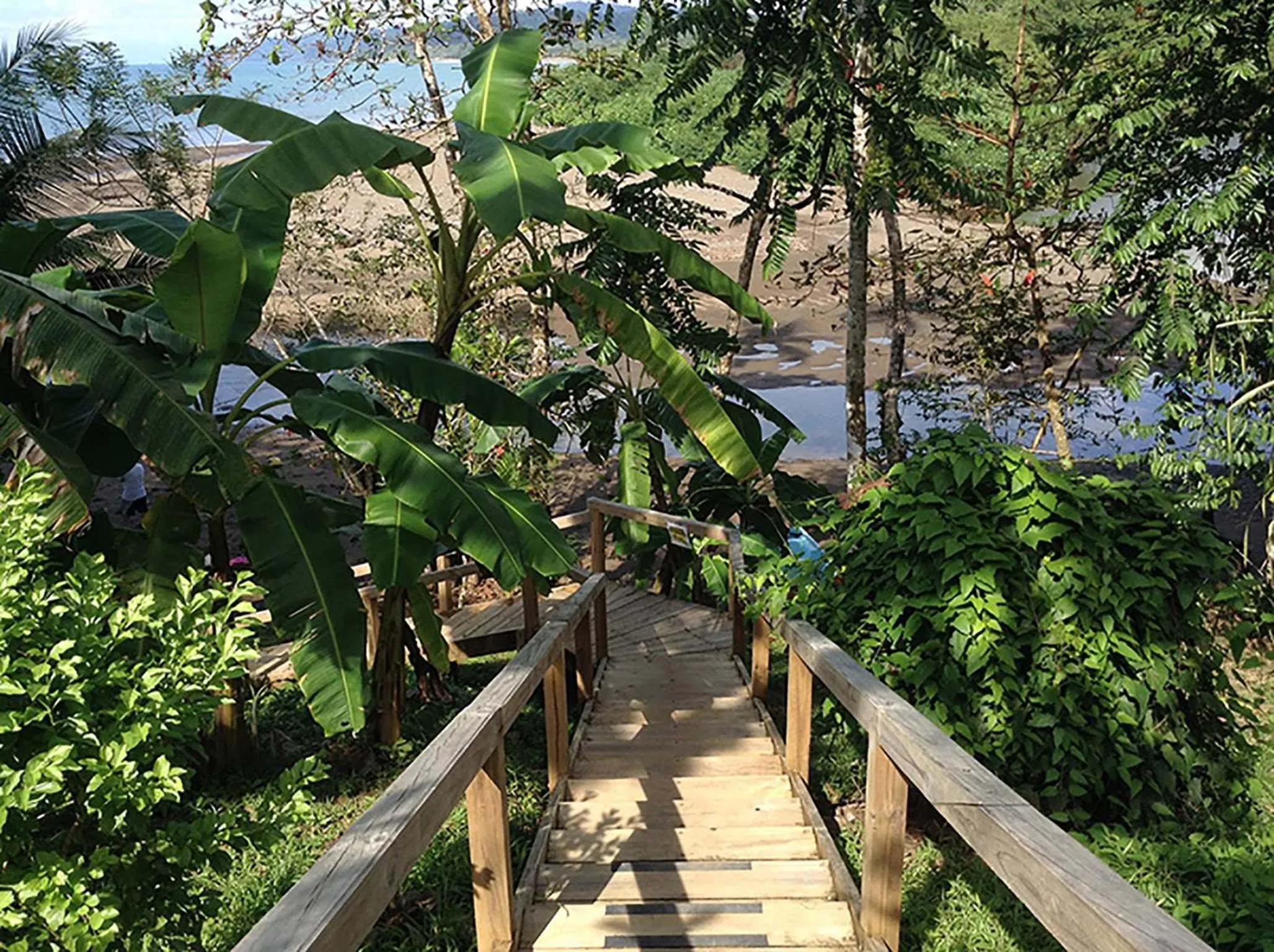 Natural landscape in Pirate Cove