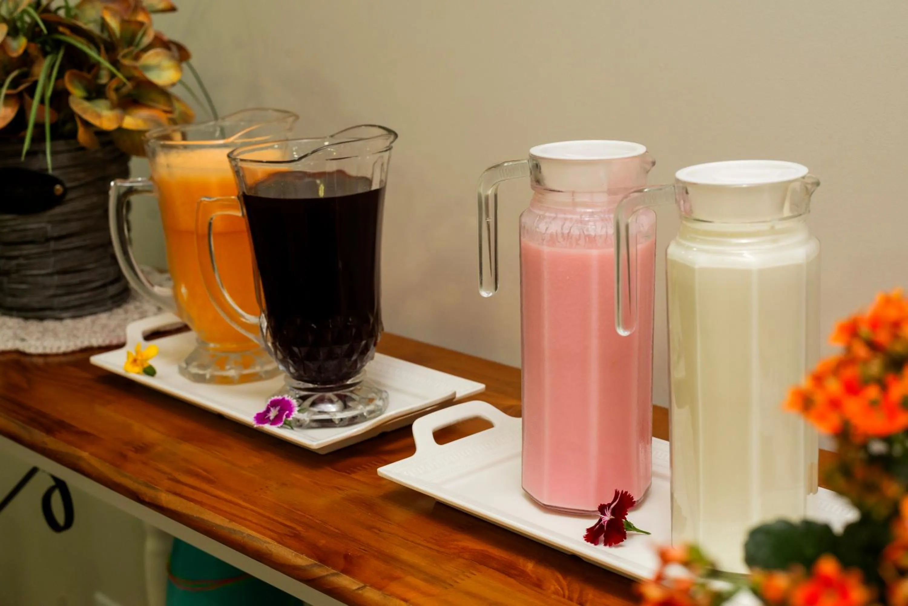 Food and drinks in Pousada Paraíso Tropical