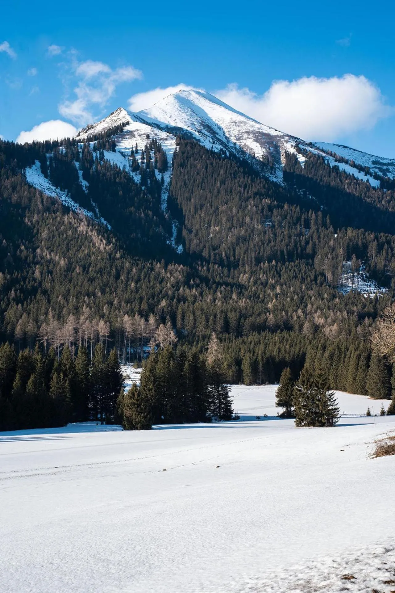 View (from property/room) in Draxlerhaus