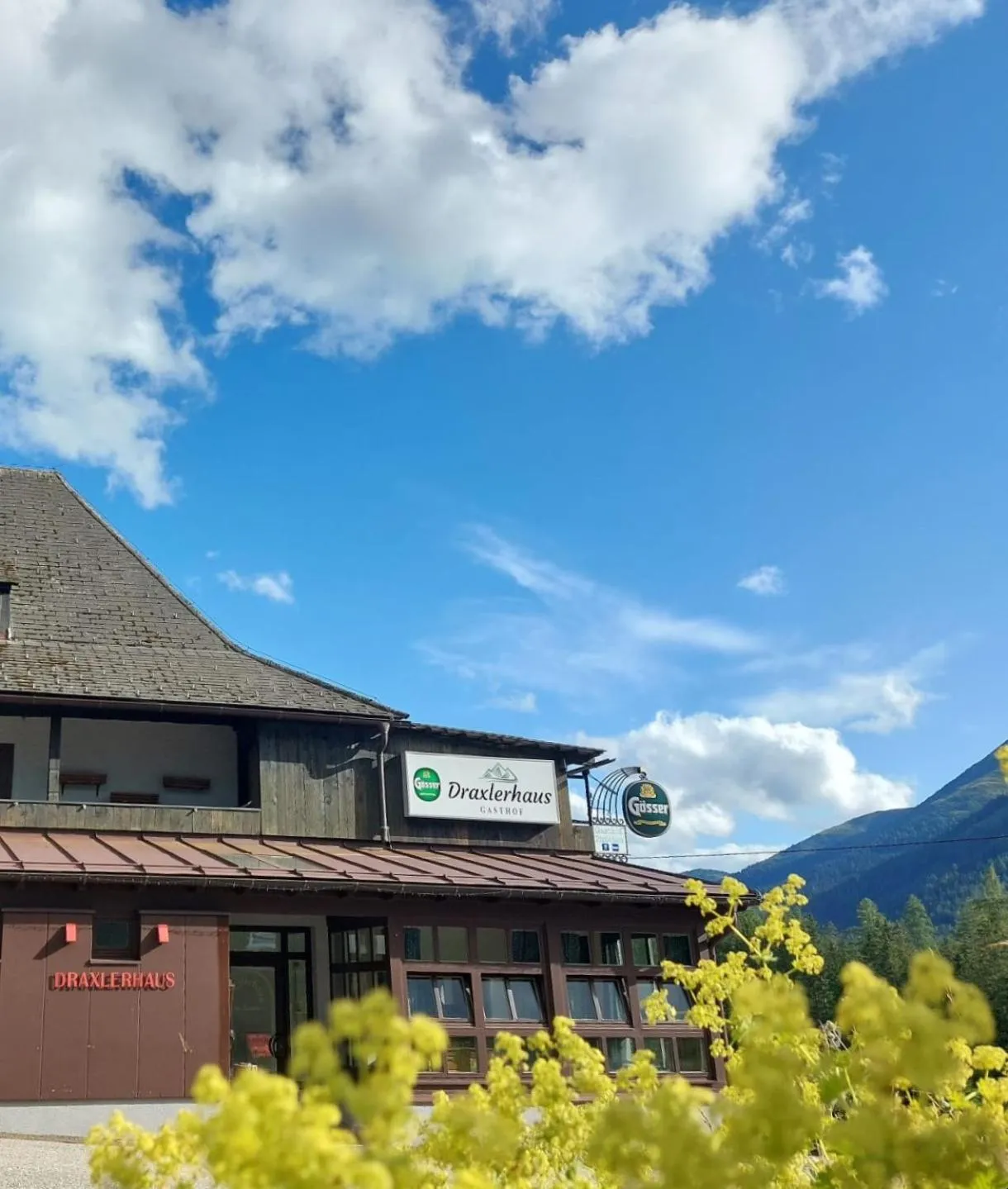 Property building in Draxlerhaus