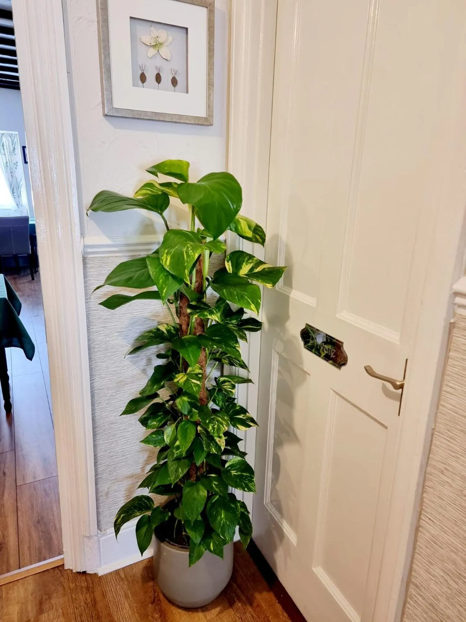 Decorative detail in Kethla House