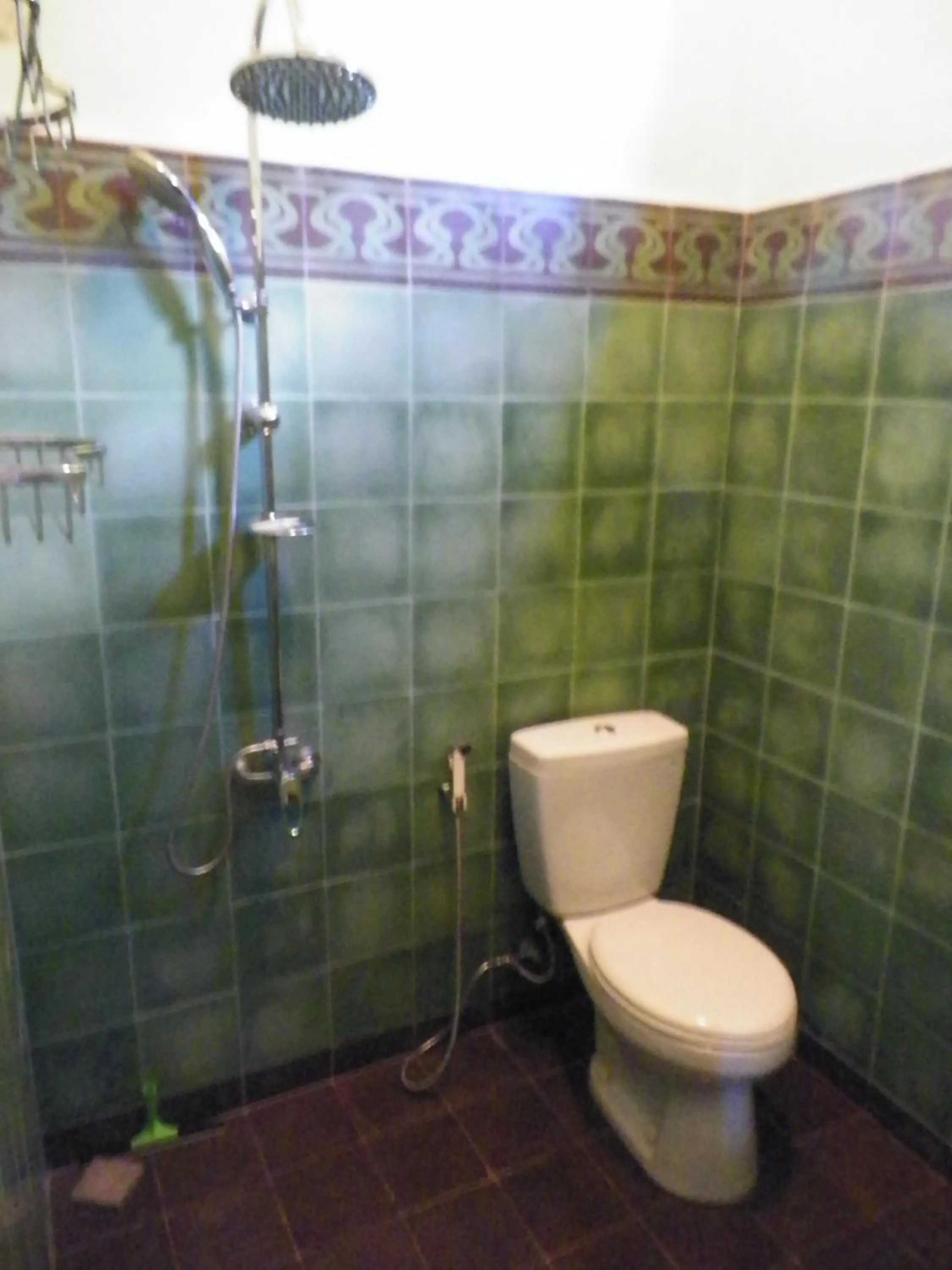 Toilet in Rumah Sawah