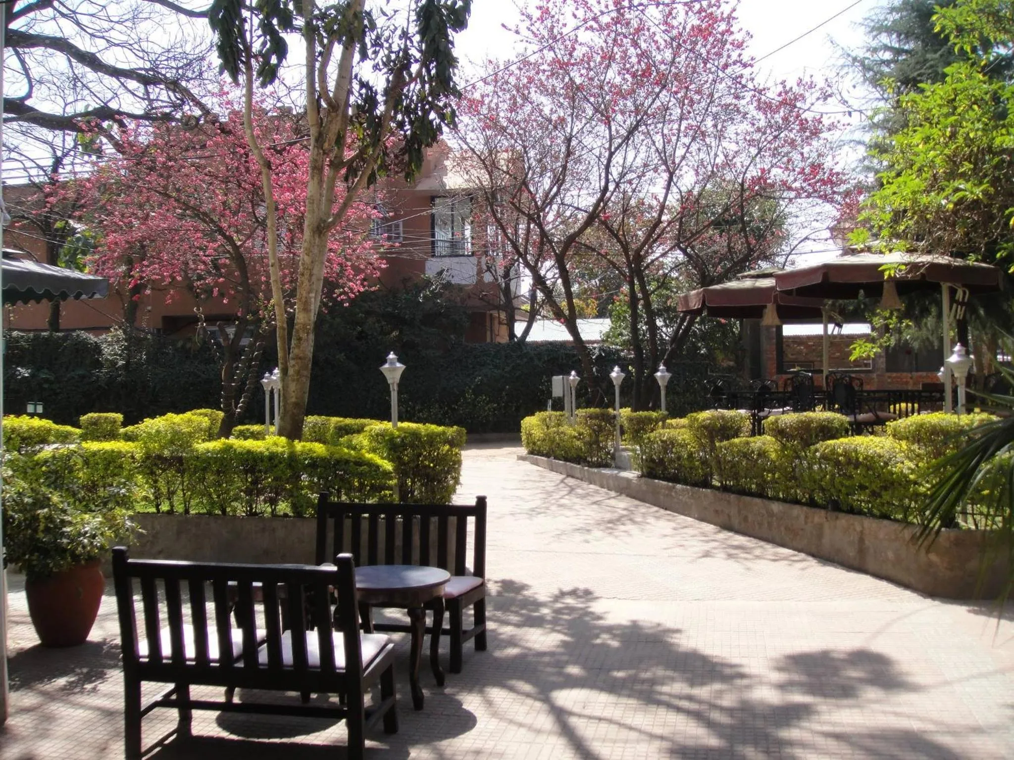 Garden in Shaligram Hotel