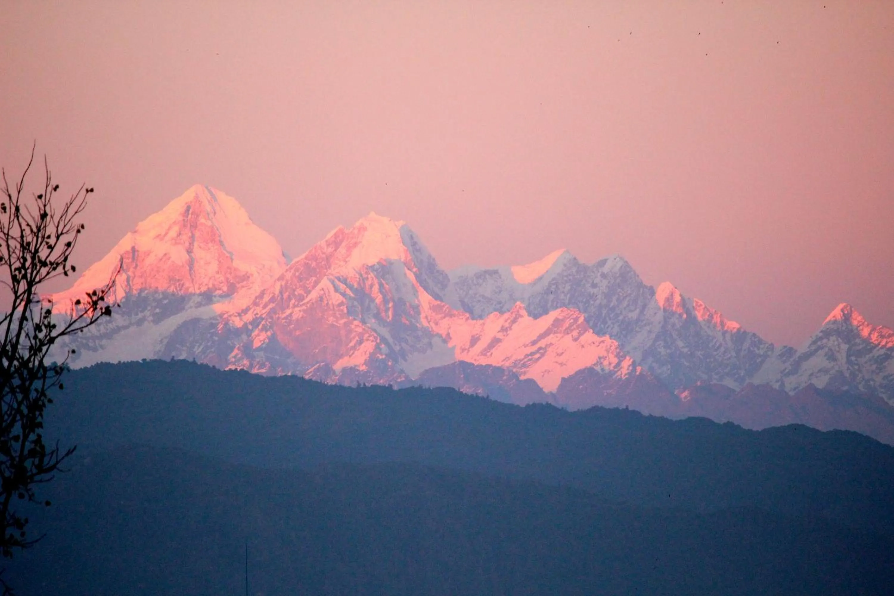 View (from property/room) in Shaligram Hotel