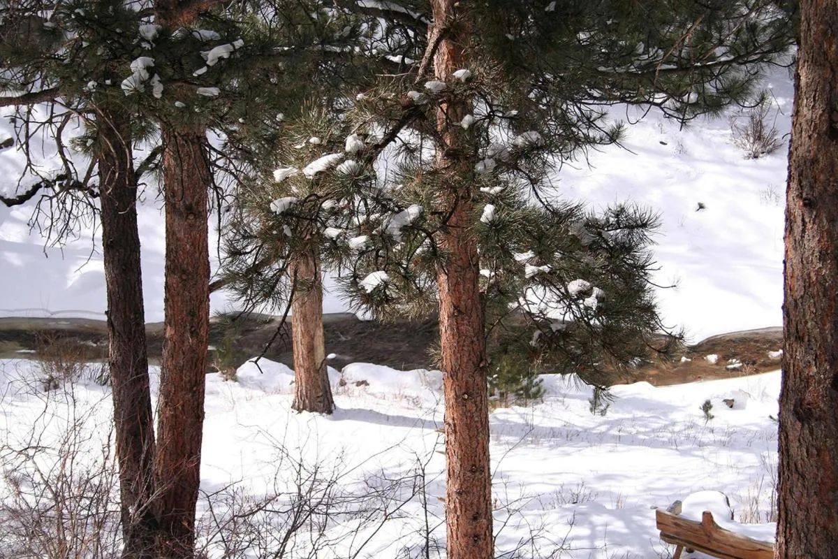 Fawn Valley Inn- 295 condo