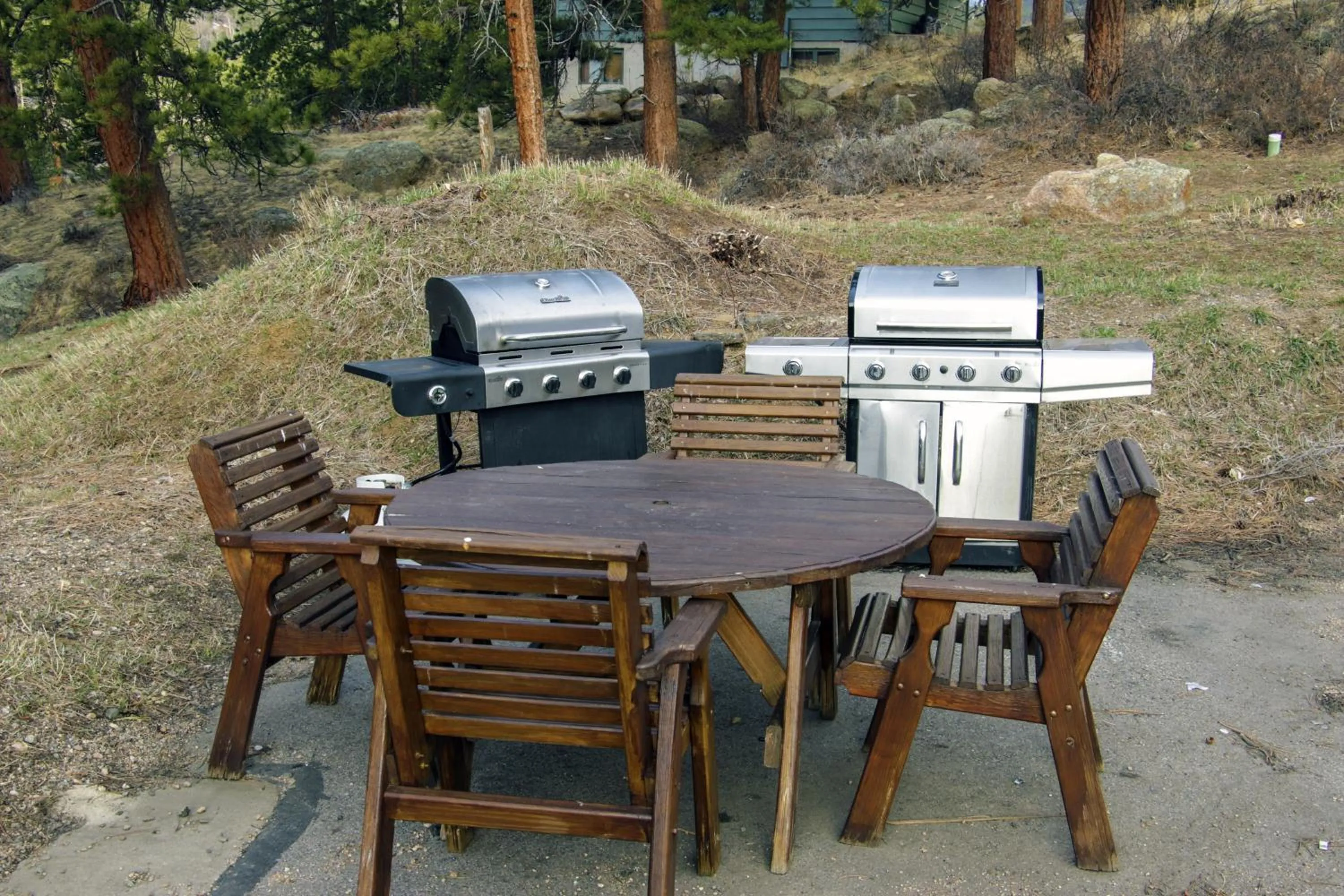 BBQ facilities in Fawn Valley Inn- 282 condo