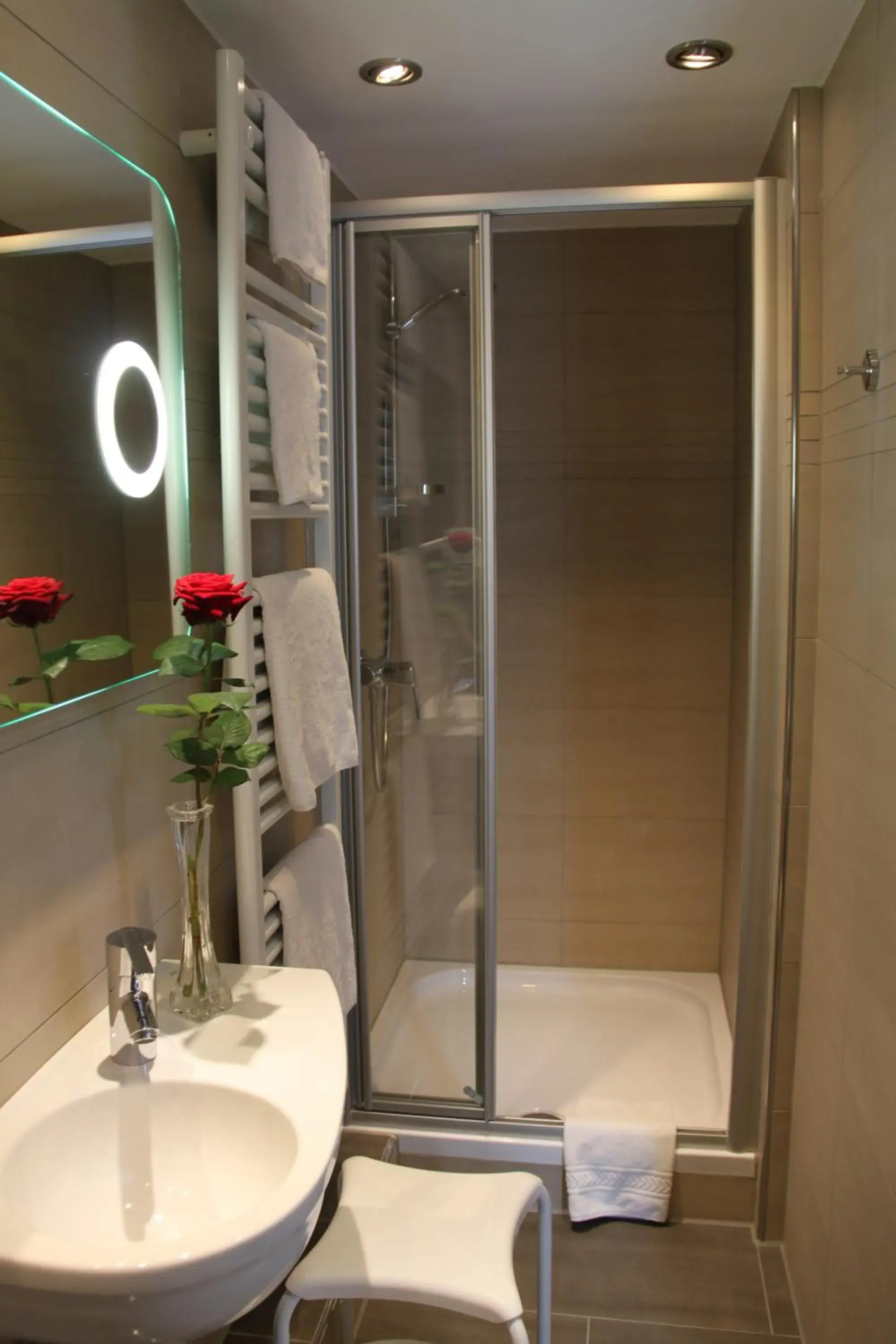 Single Room in Hotel Rheinischer Hof Single Room in Hotel Rheinischer Hof