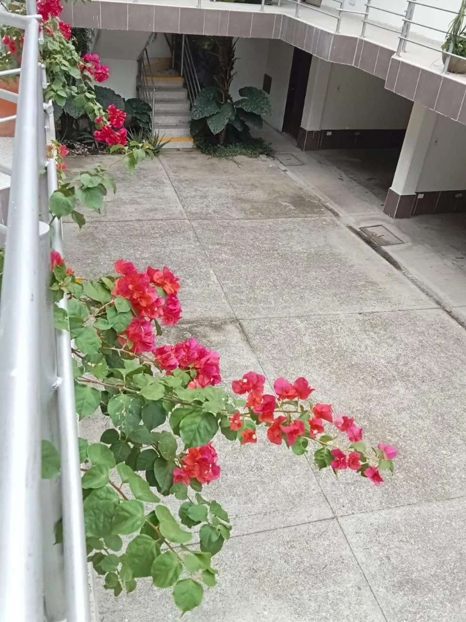 Spring in HIDALGO HOTEL