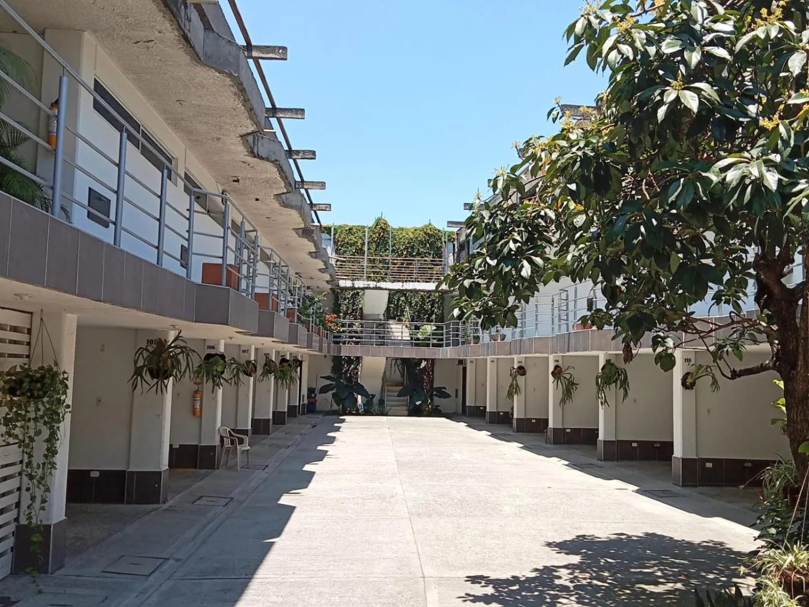 View (from property/room) in HIDALGO HOTEL