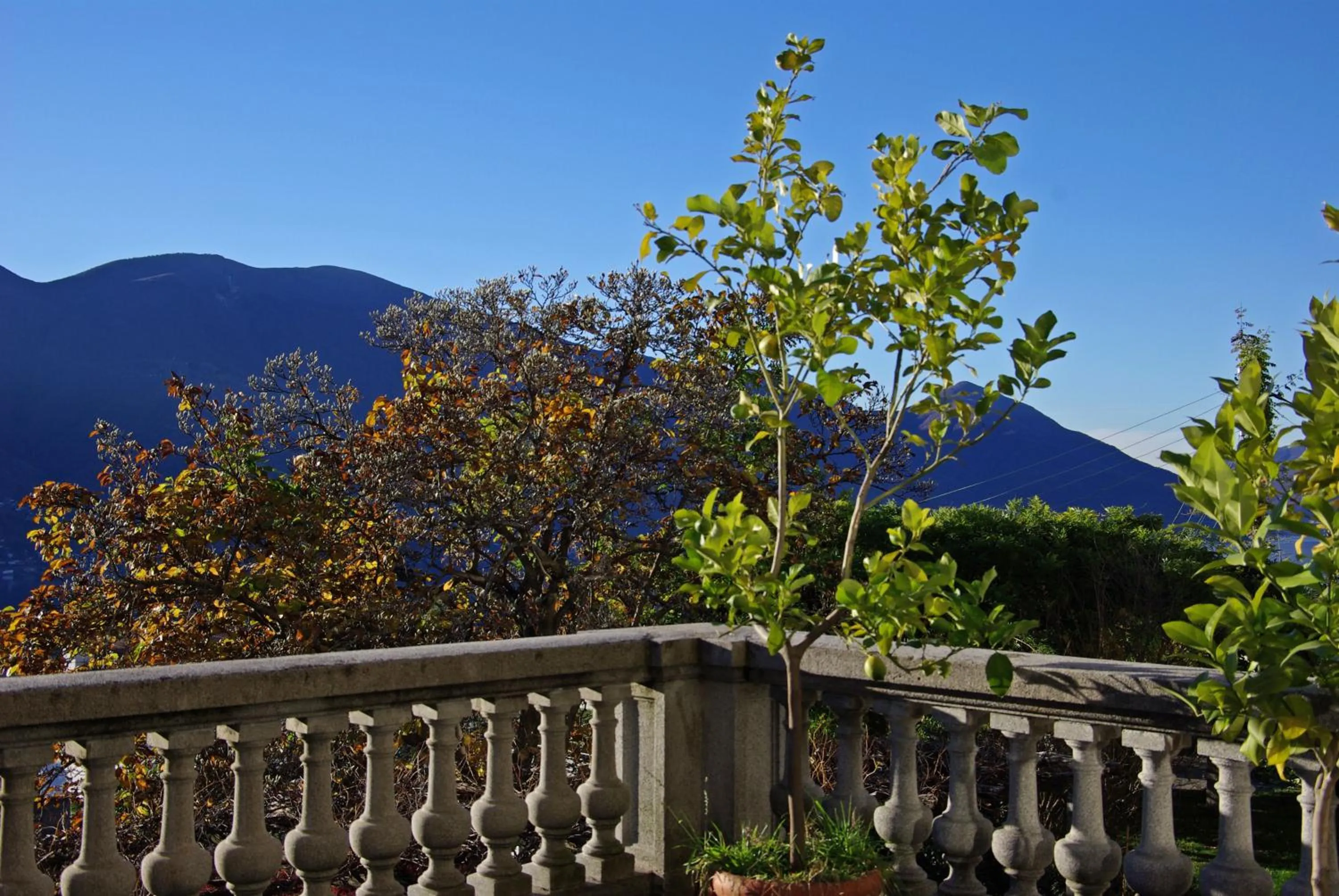Balcony/Terrace in Bed and Breakfast Casa Locarno