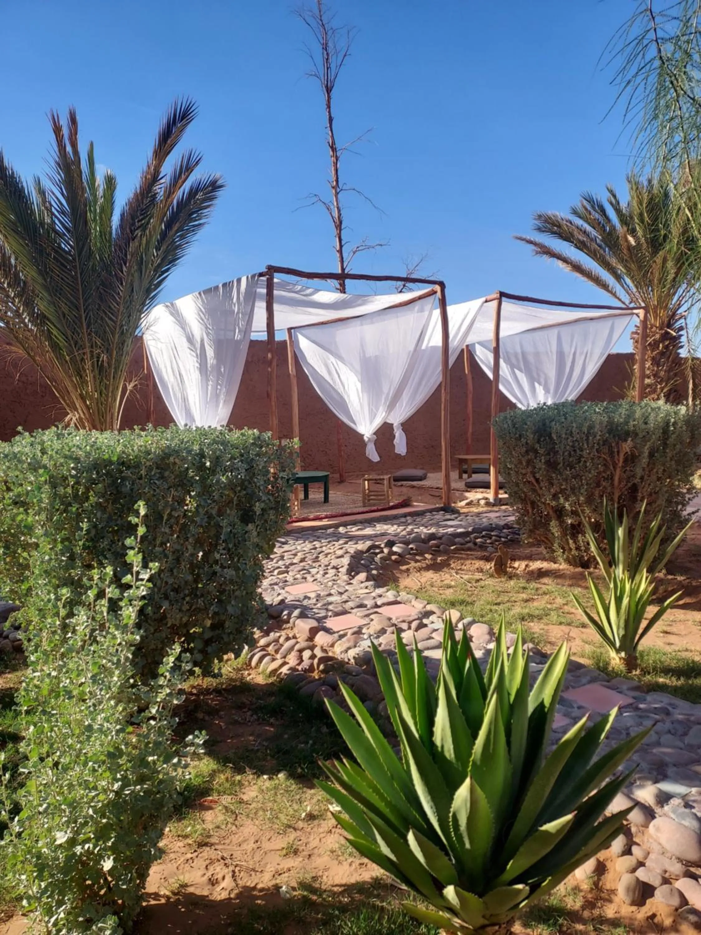 Garden in Riad ma bonne étoile