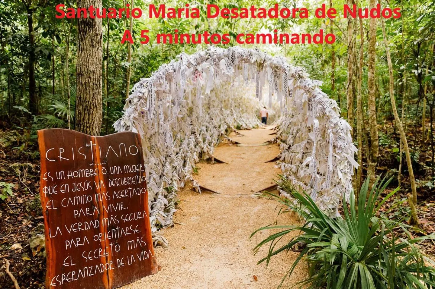 Beautiful condo in Cancun! Dreams Lagoon