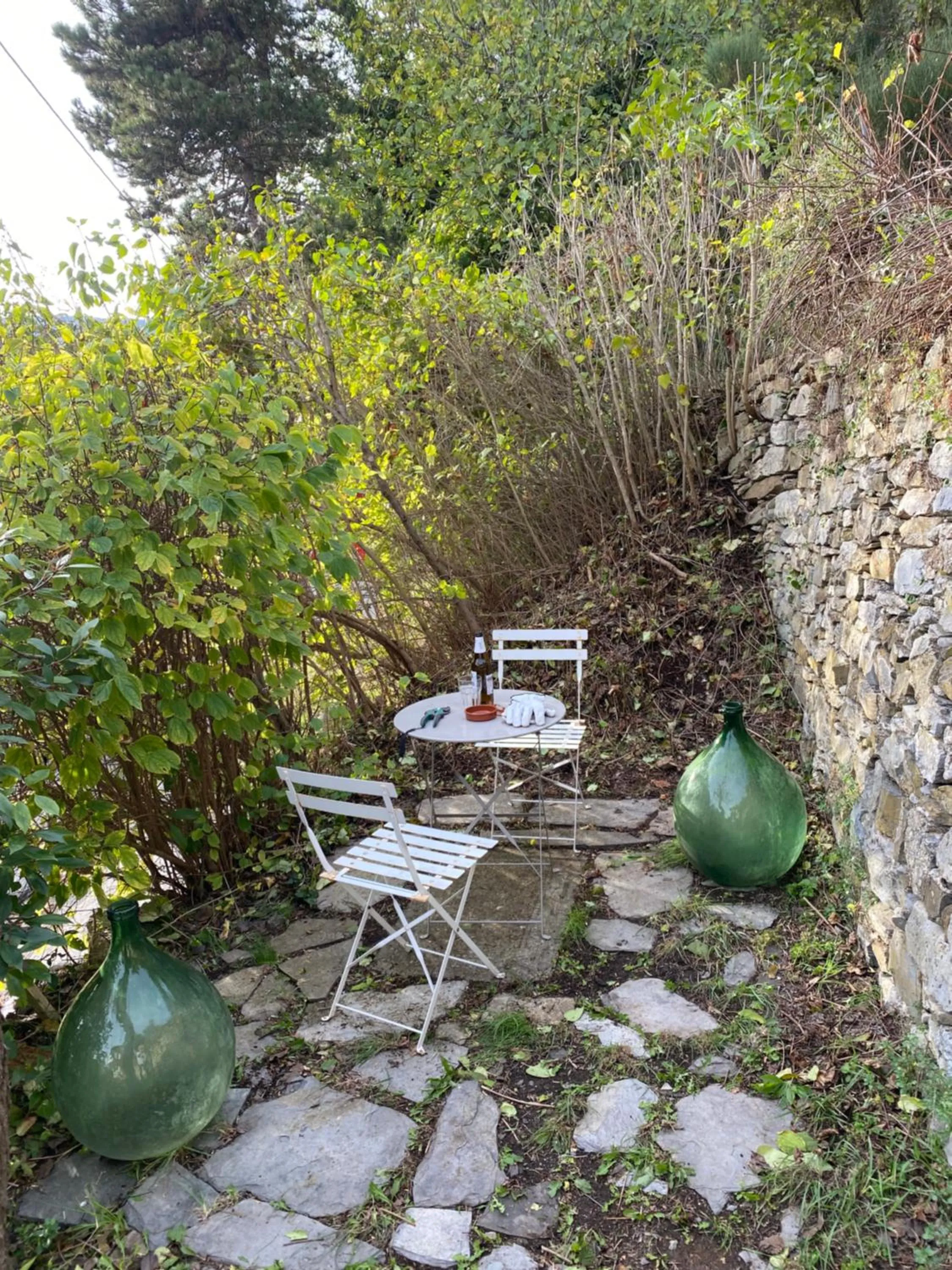 Garden in Casa Rosalie