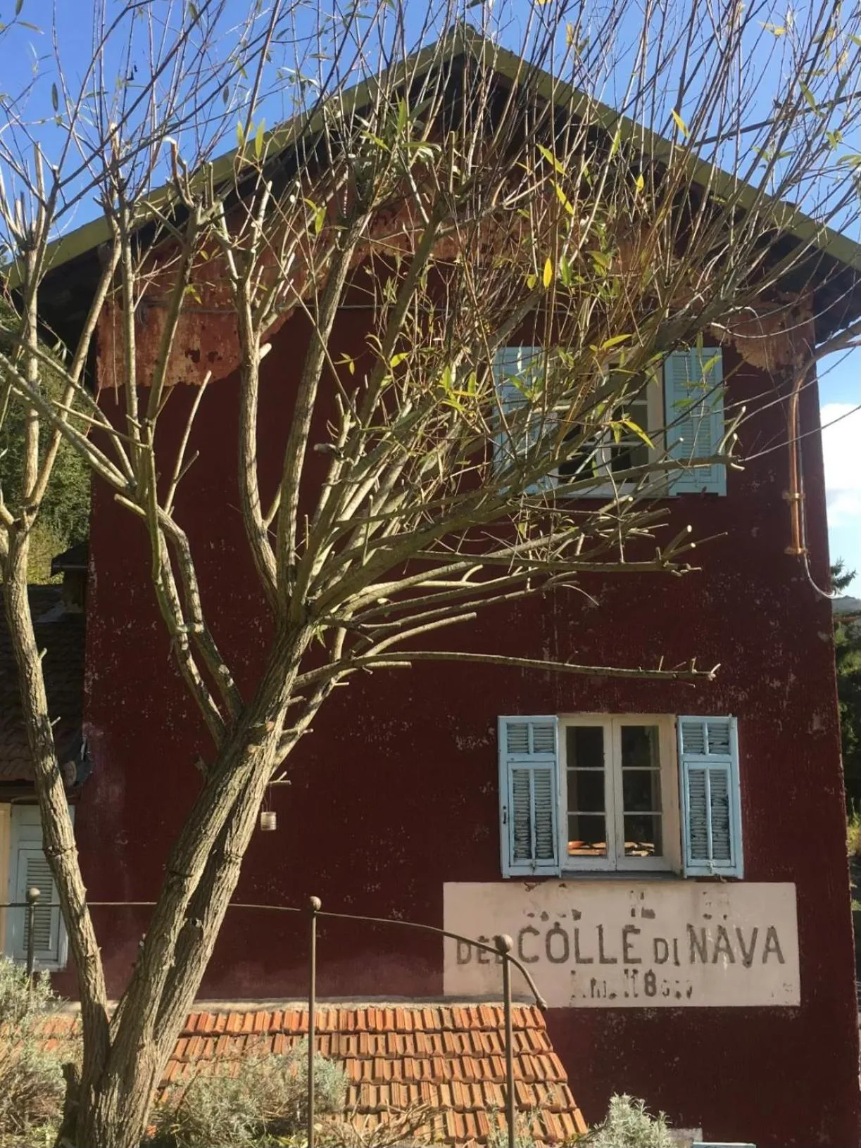 Property building in Casa Rosalie
