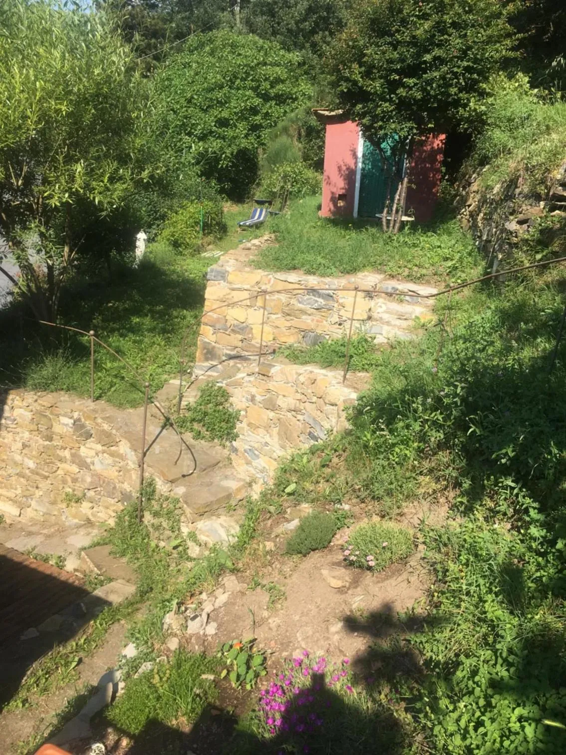 Garden in Casa Rosalie
