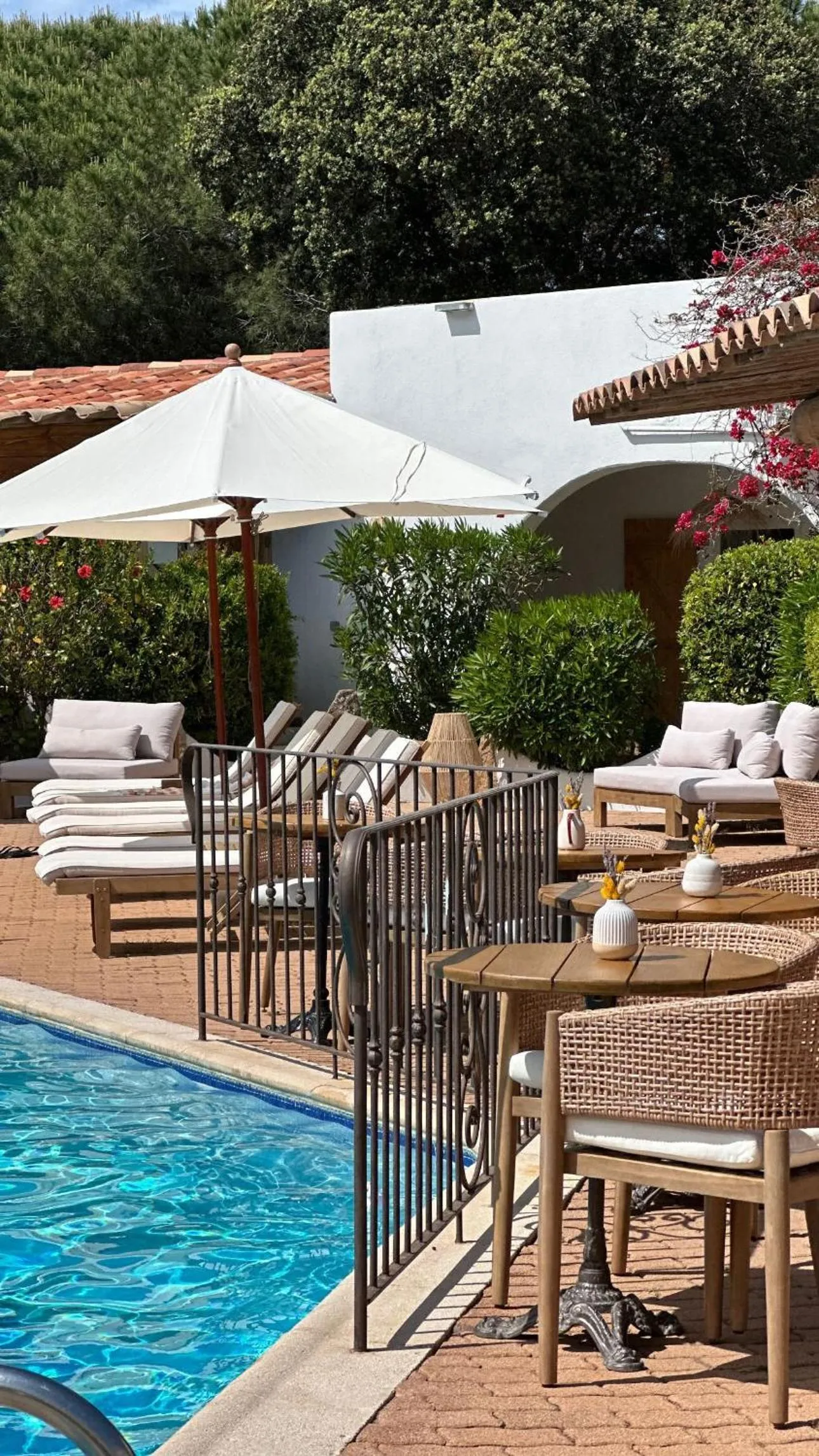 Pool view in Hôtel Palombaggia