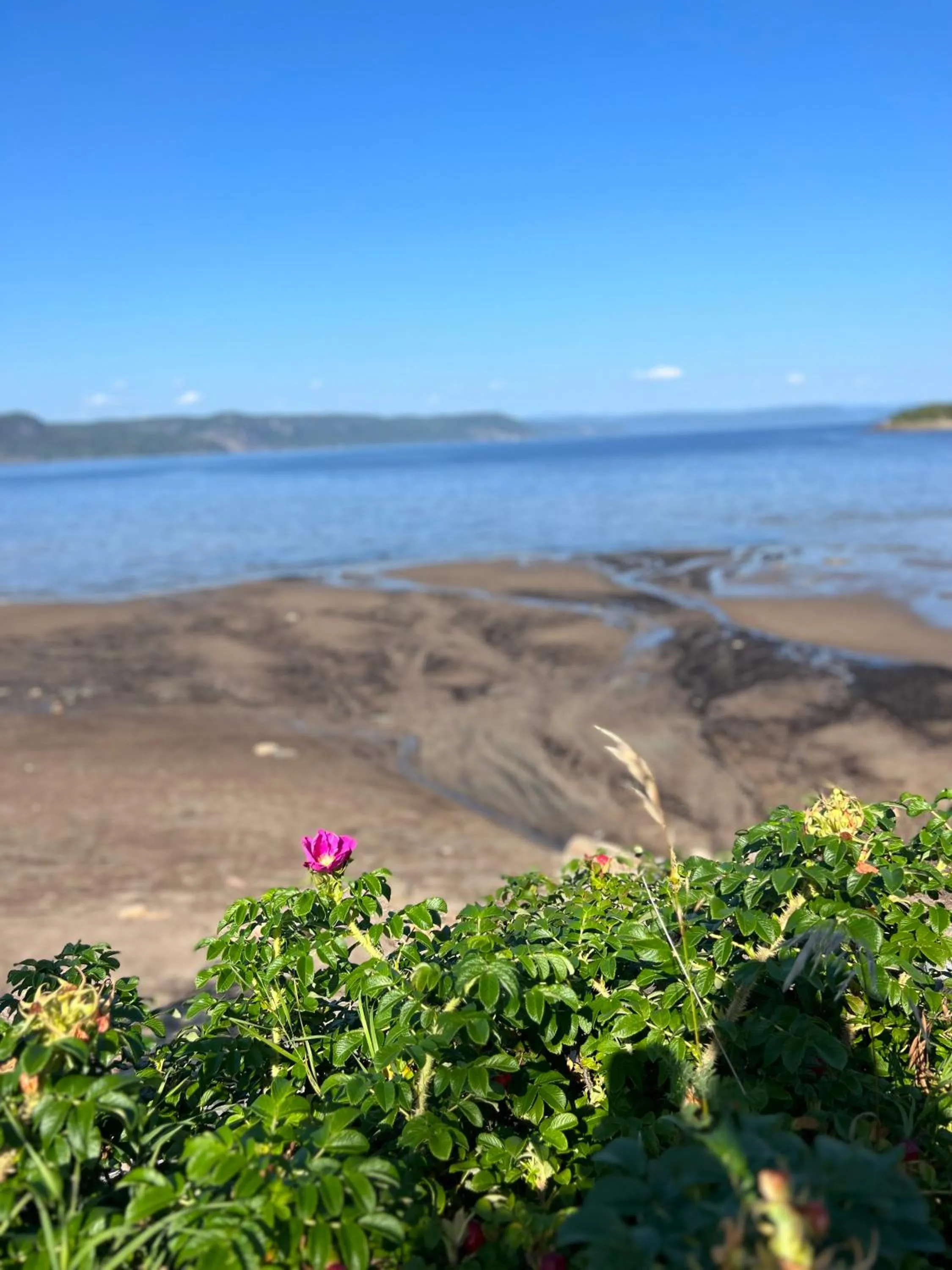 Nearby landmark in Magical Loft : Breathtaking View & Cozy Fireplace