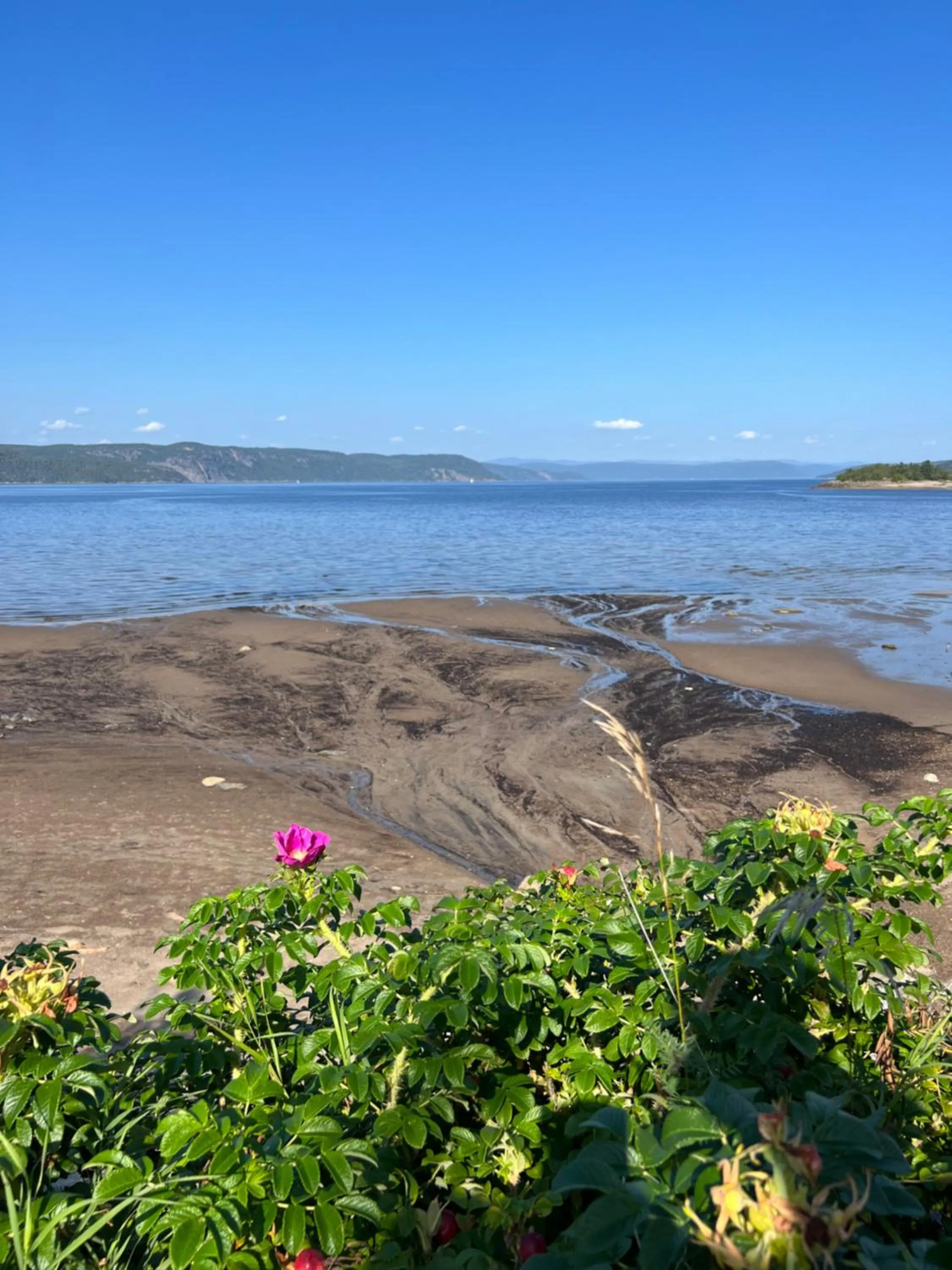 Nearby landmark in Magical Loft : Breathtaking View & Cozy Fireplace
