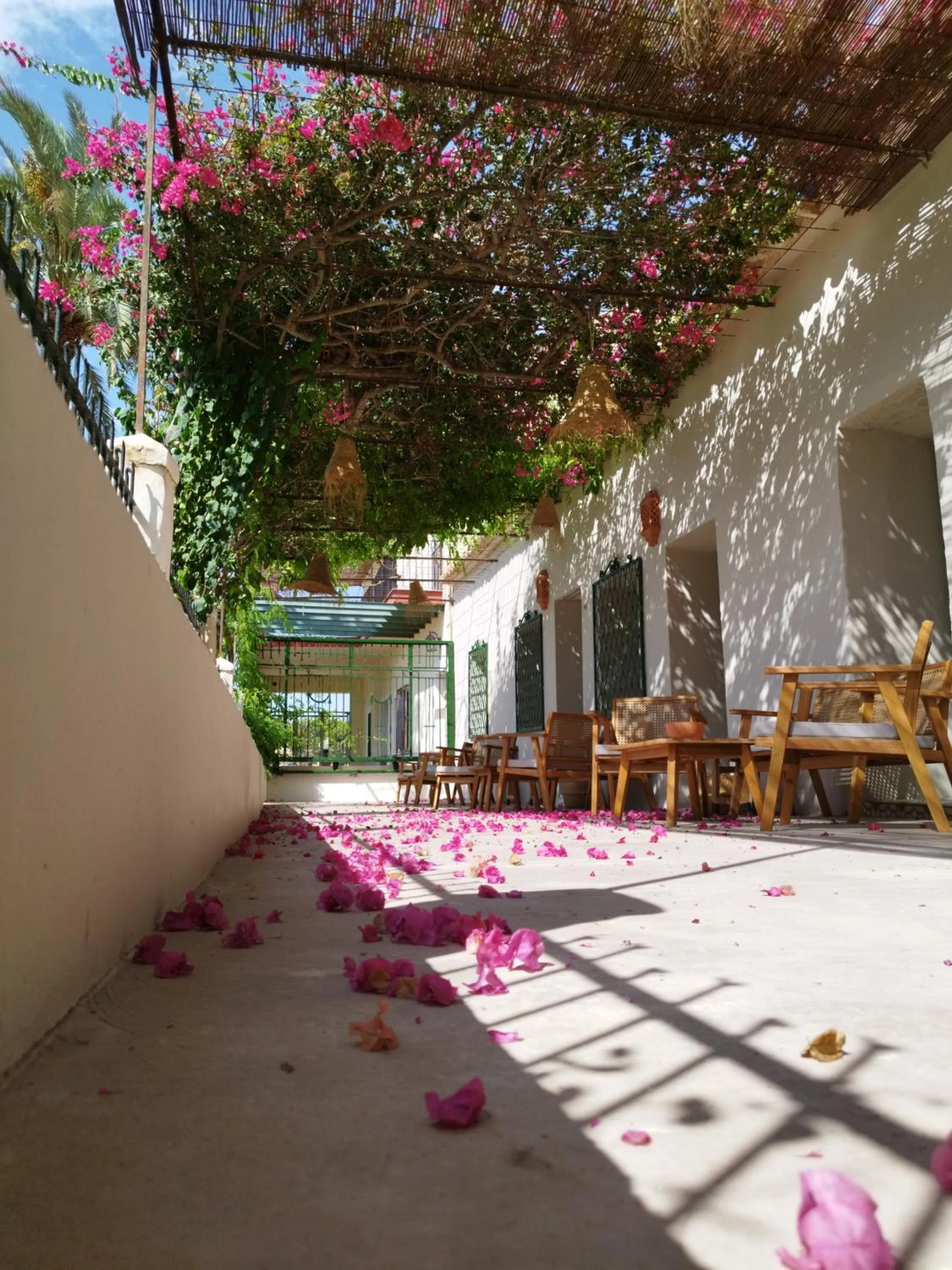 Property building in Paradisun Villajoyosa - Adults Only Recommended