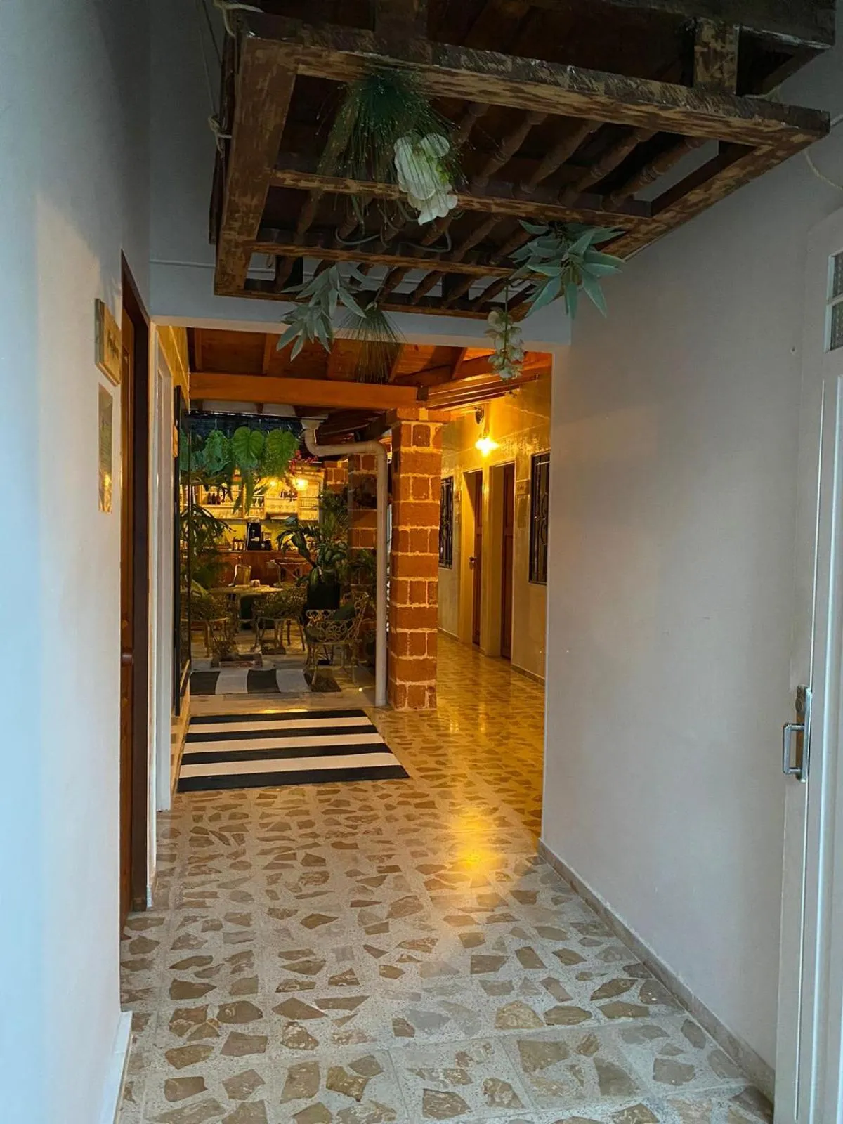 Area and facilities in Selva María Hotel Boutique