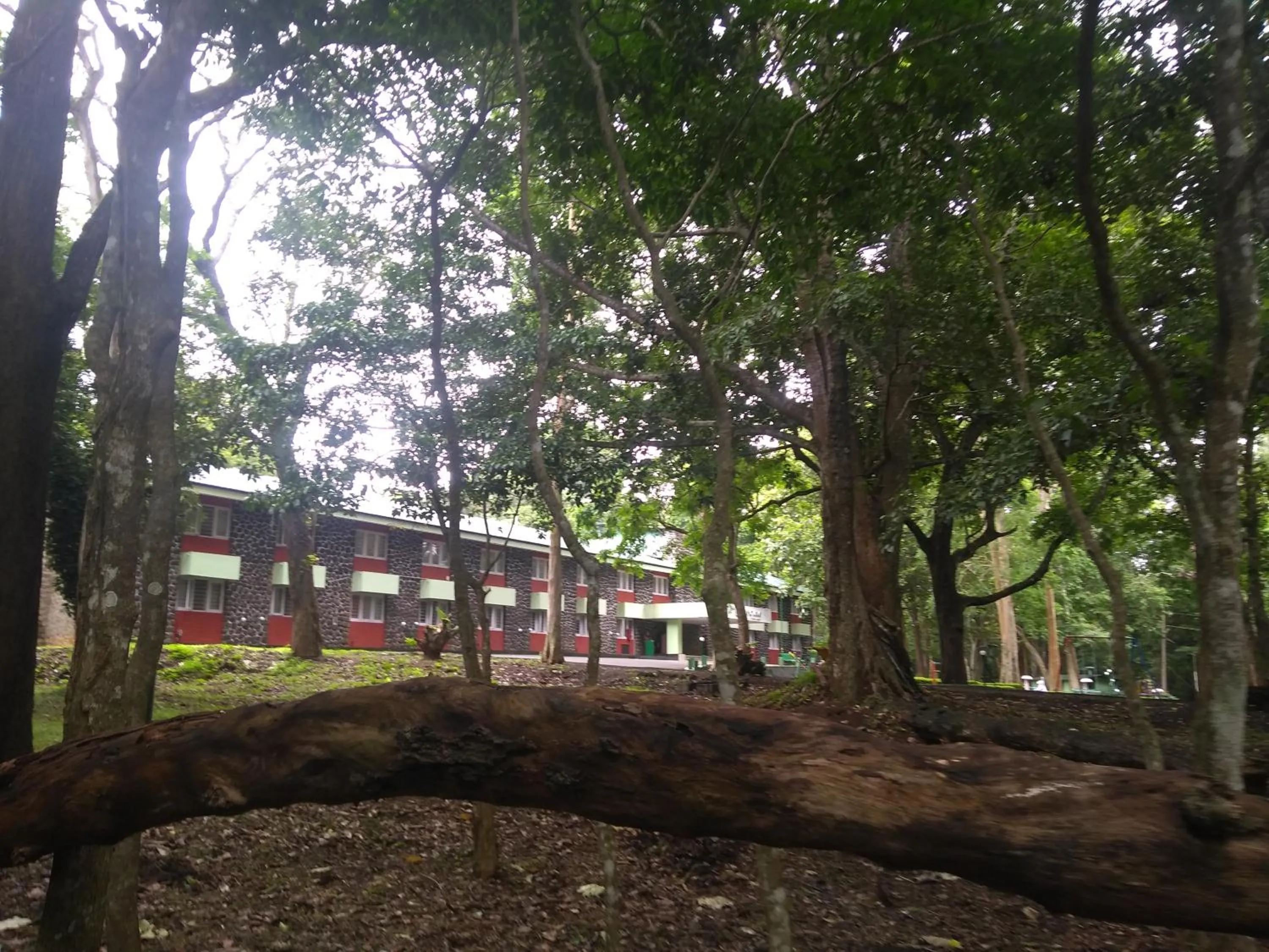 Breakfast in KTDC Periyar House