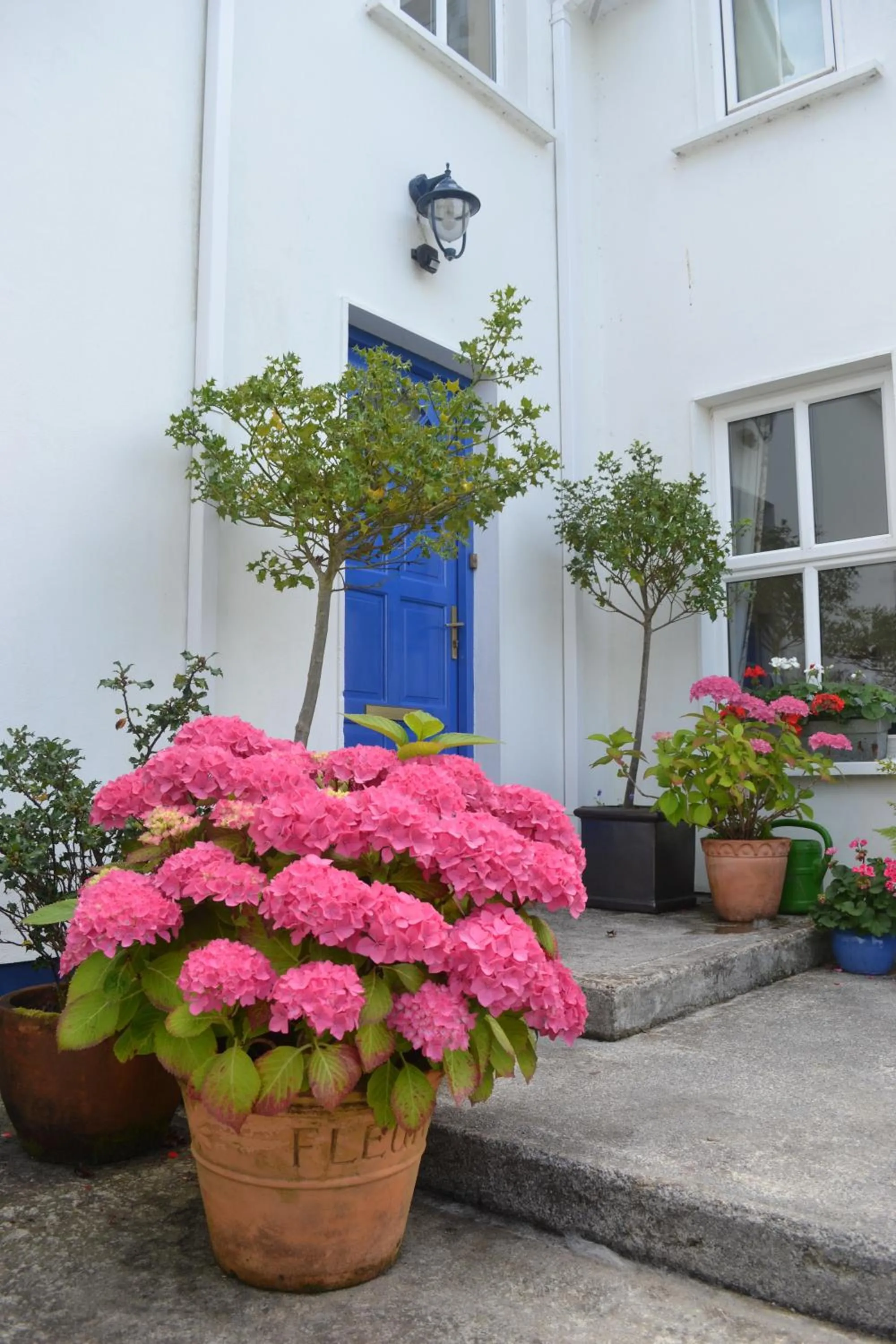 Facade/entrance in Guaire House Killarney