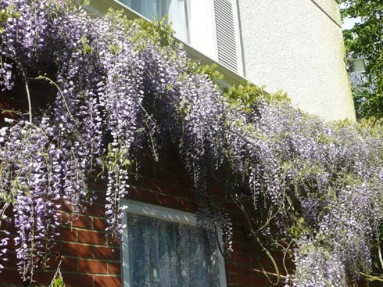 View (from property/room) in The Bahamas