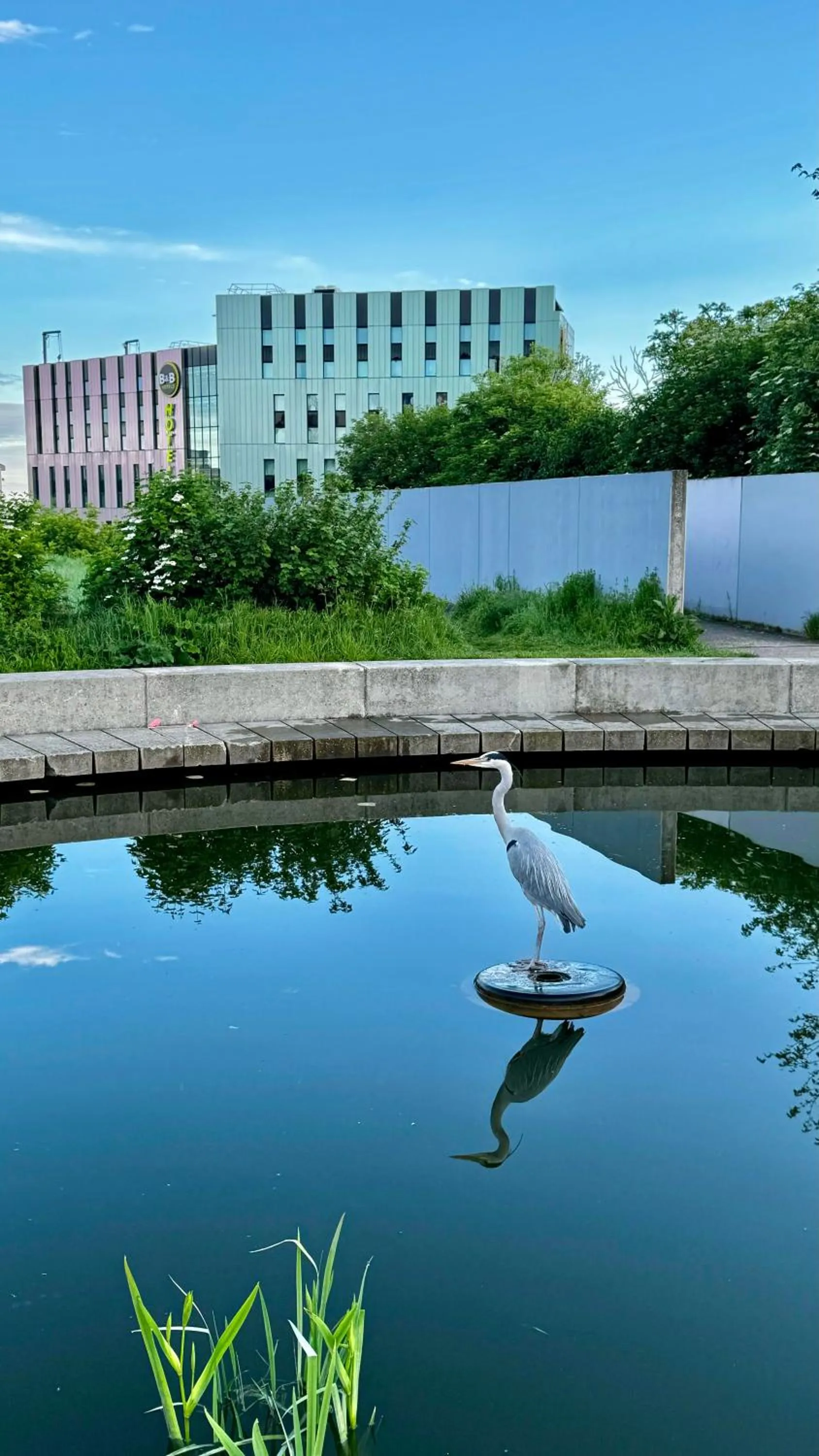 Neighbourhood in B&B HOTEL Paris Porte des Lilas