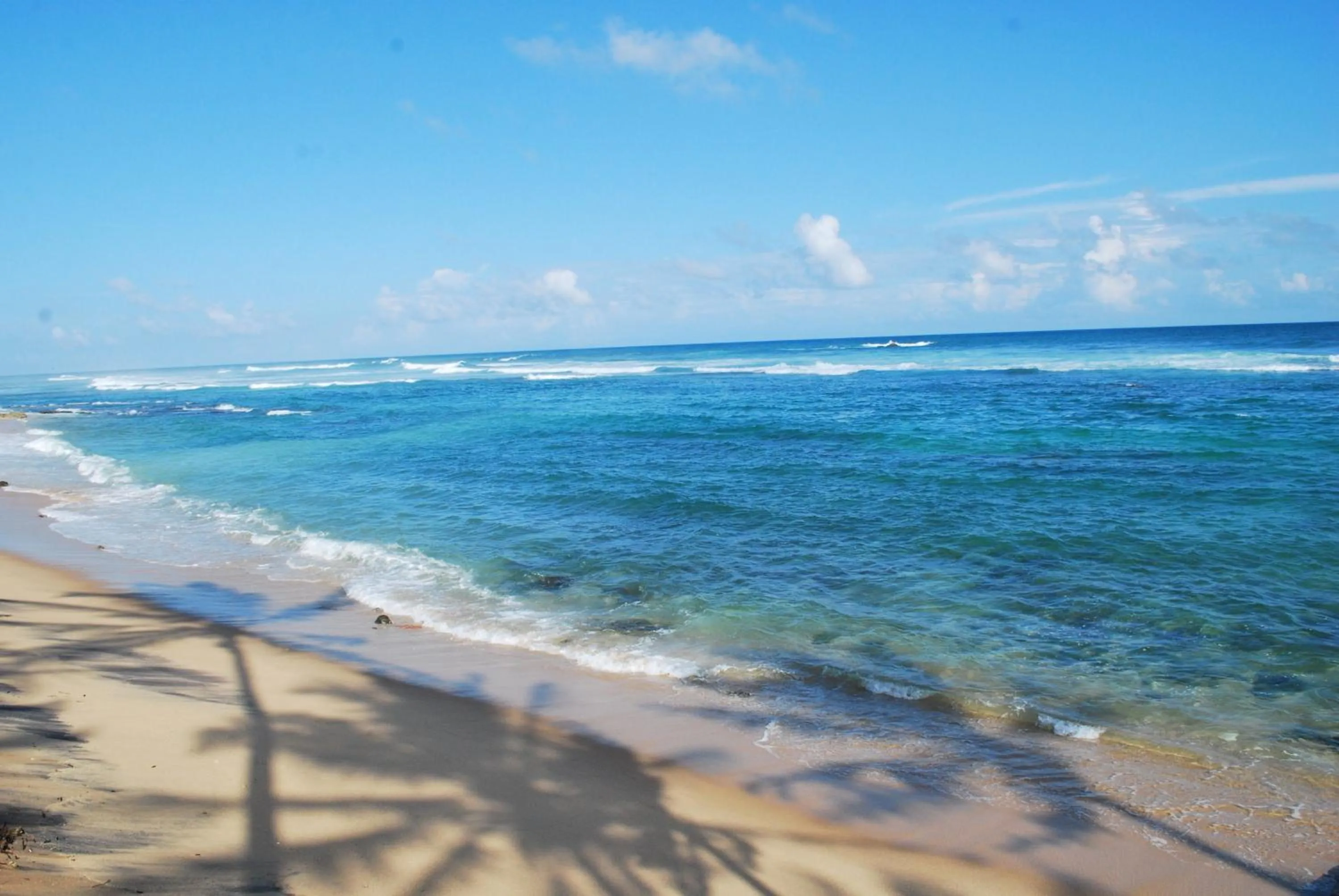 Sea view in Beach House