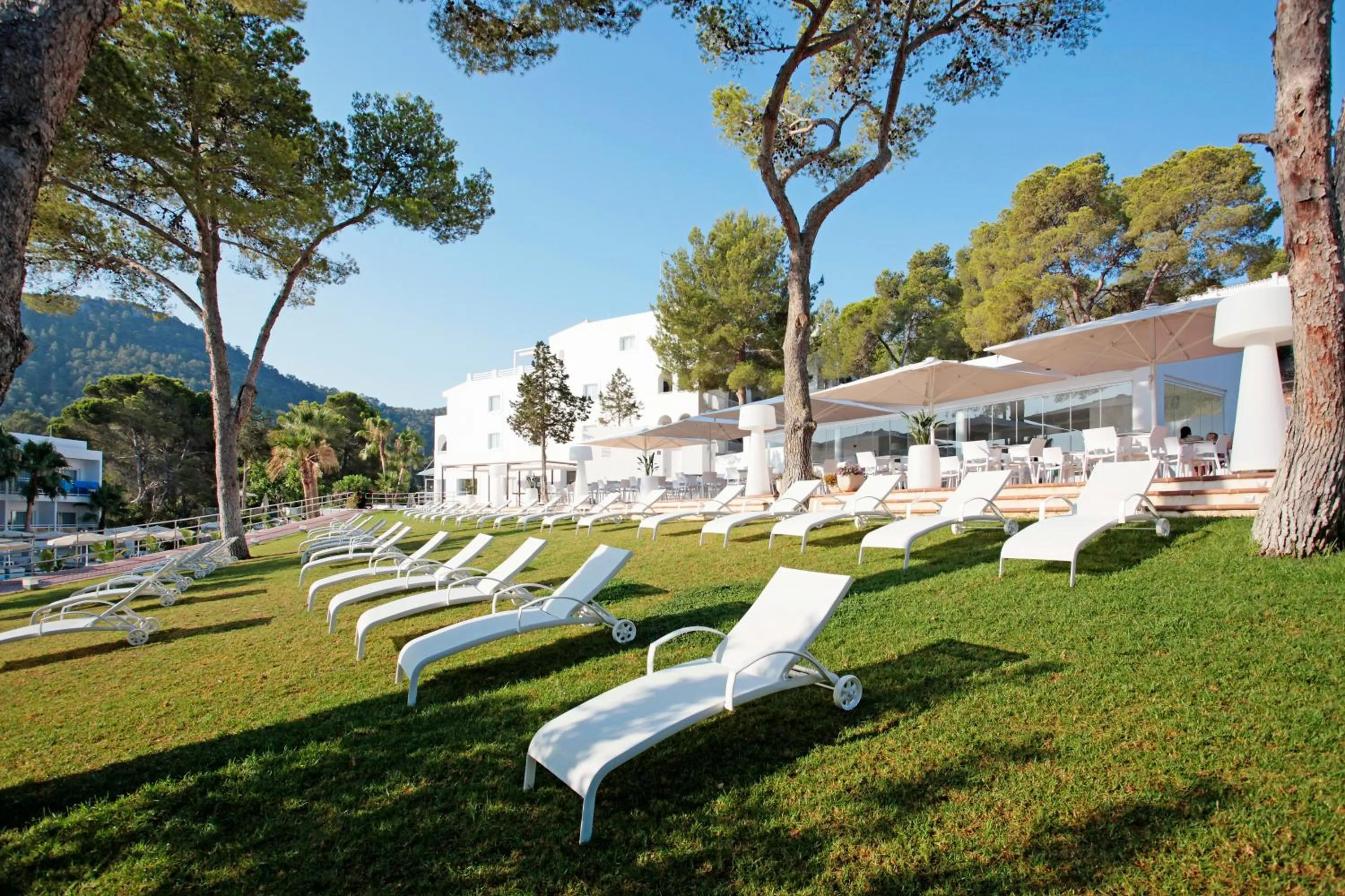 Solarium in Grupotel Ibiza Beach Resort - Adults Only