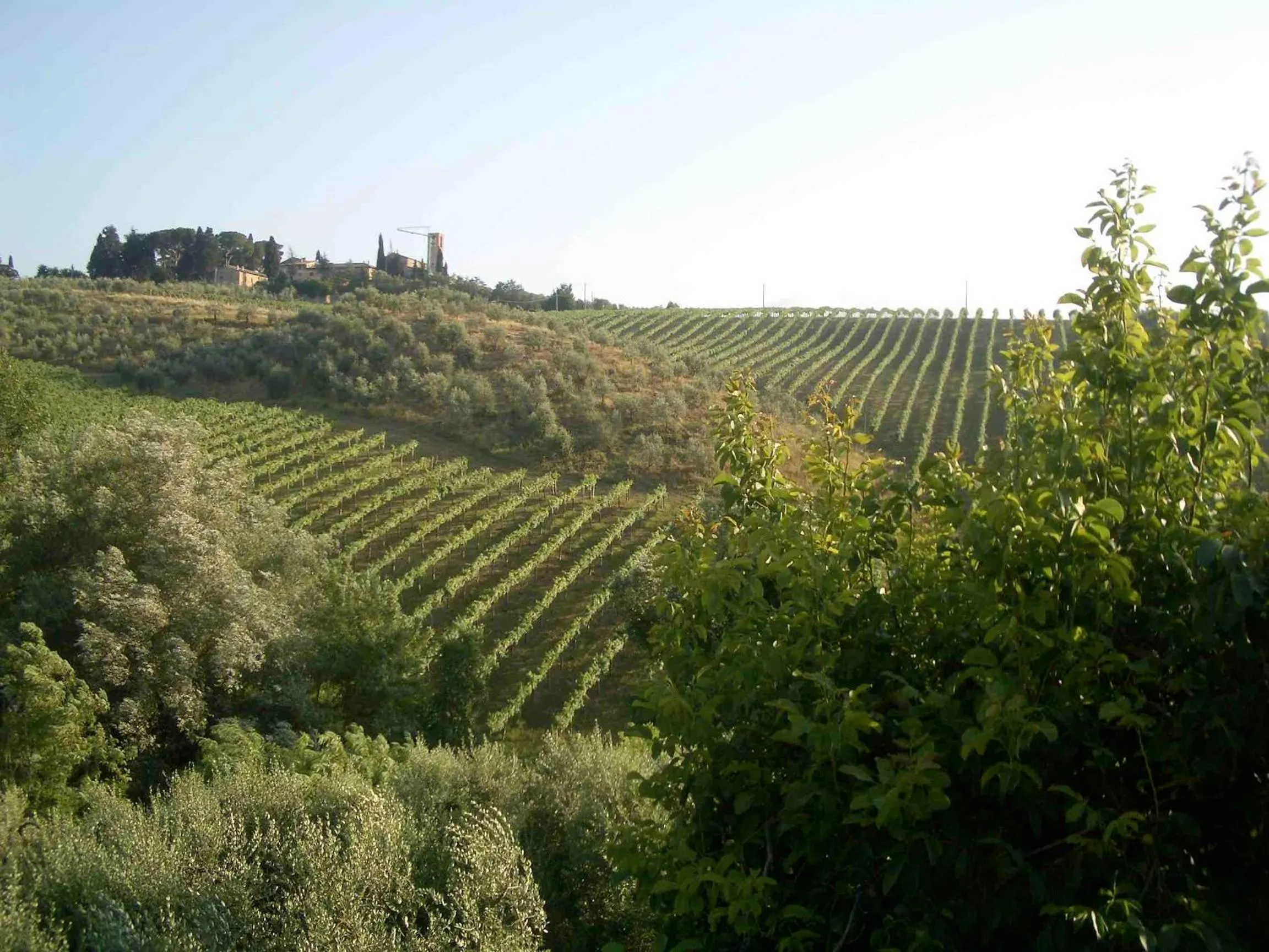 Agriturismo Podere Cappella