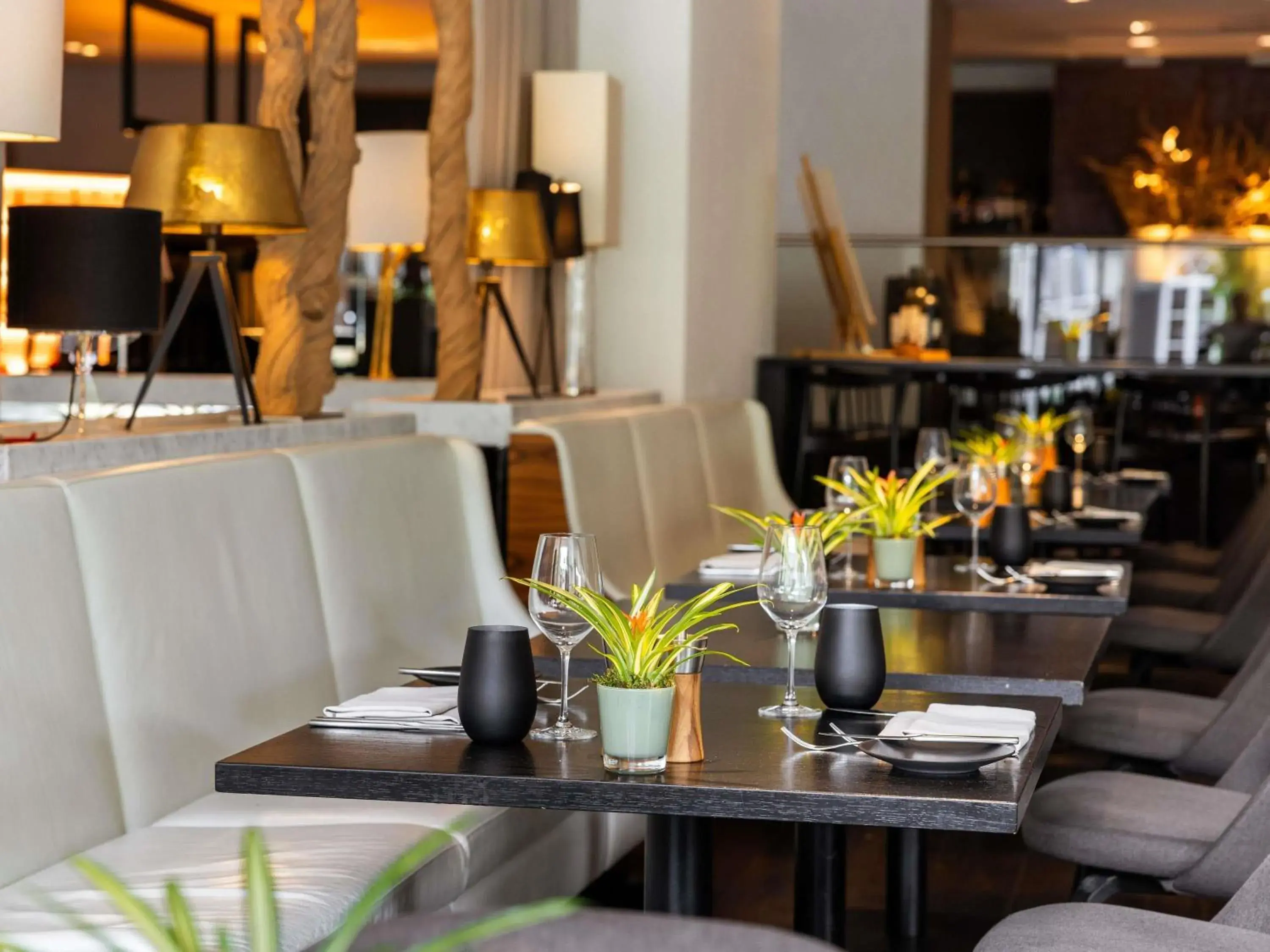 Restaurant/places to eat in Pullman Eindhoven Cocagne Restaurant/places to eat in Pullman Eindhoven Cocagne