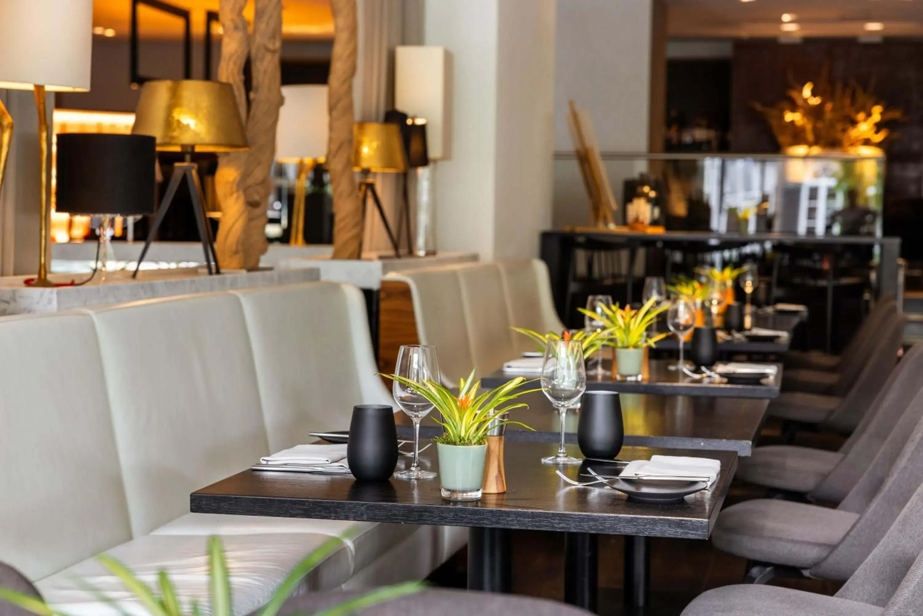 Restaurant/places to eat in Pullman Eindhoven Cocagne Restaurant/places to eat in Pullman Eindhoven Cocagne