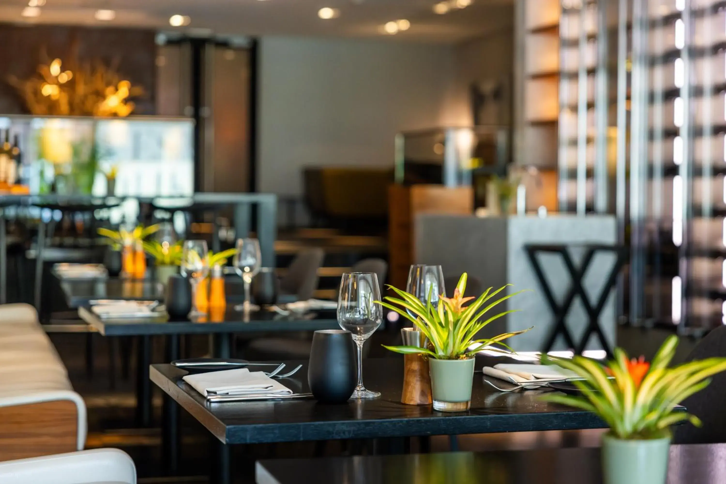 Restaurant/places to eat in Pullman Eindhoven Cocagne Restaurant/places to eat in Pullman Eindhoven Cocagne