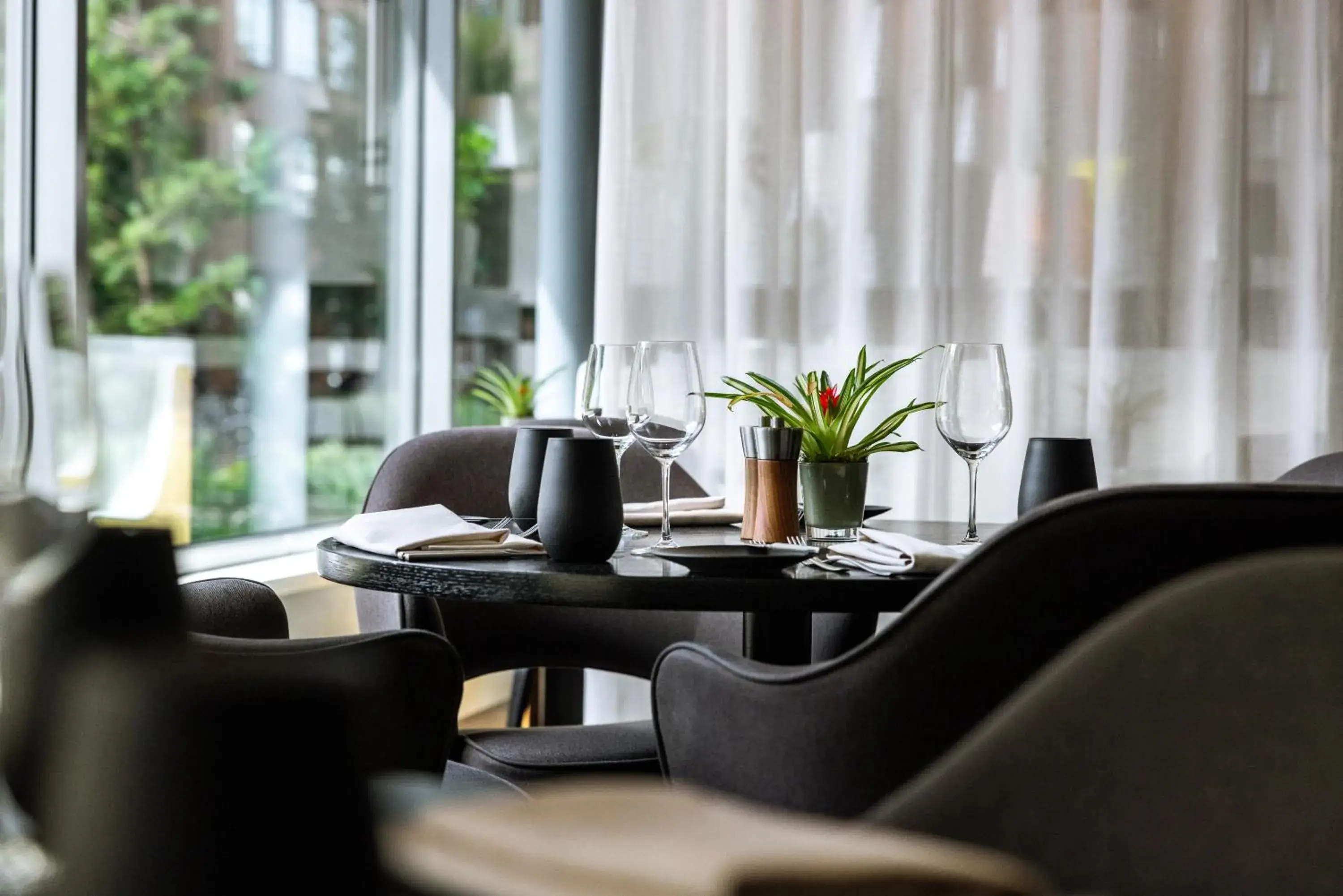 Restaurant/places to eat in Pullman Eindhoven Cocagne Restaurant/places to eat in Pullman Eindhoven Cocagne