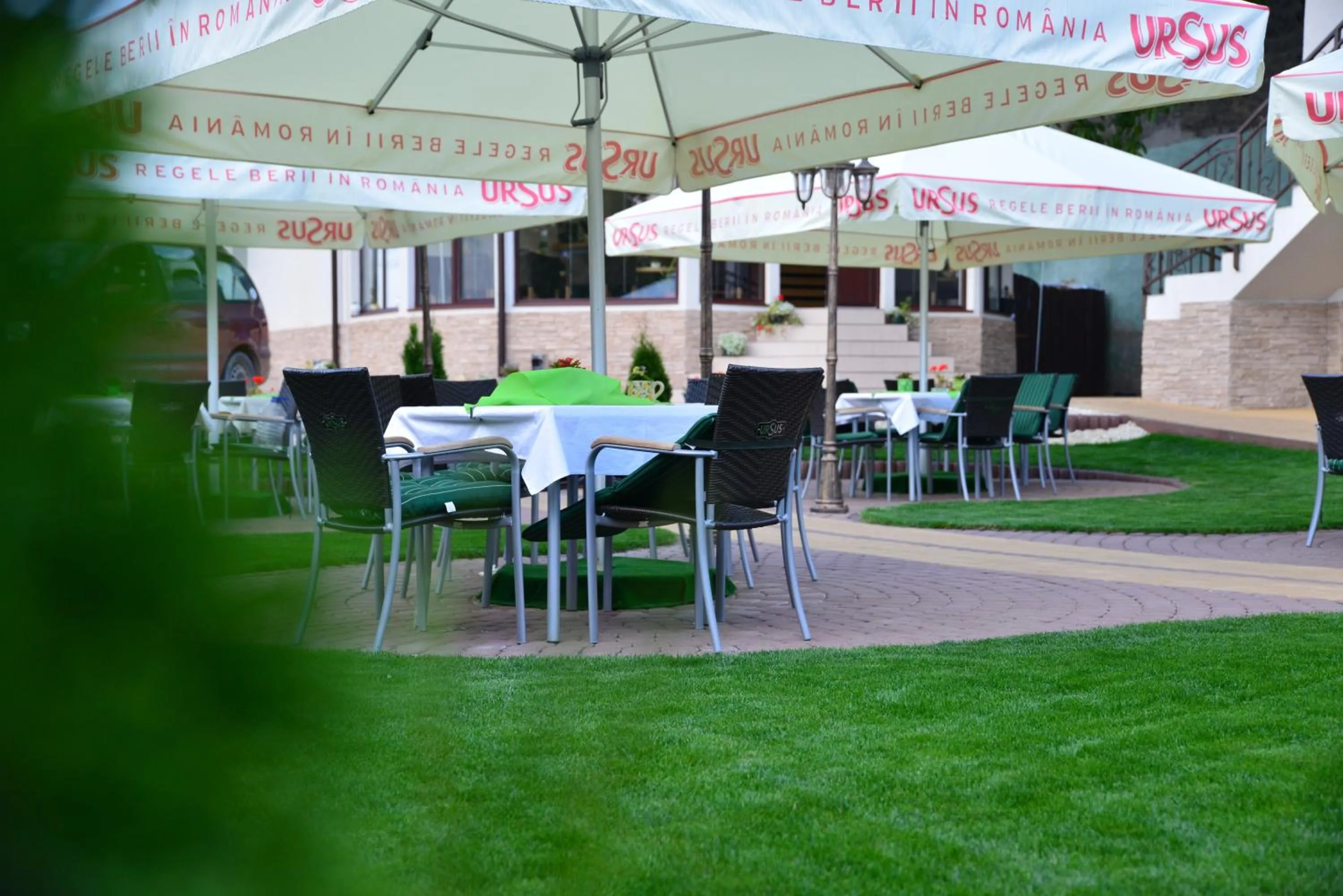 Garden in Pensiune Restaurant Flamingo