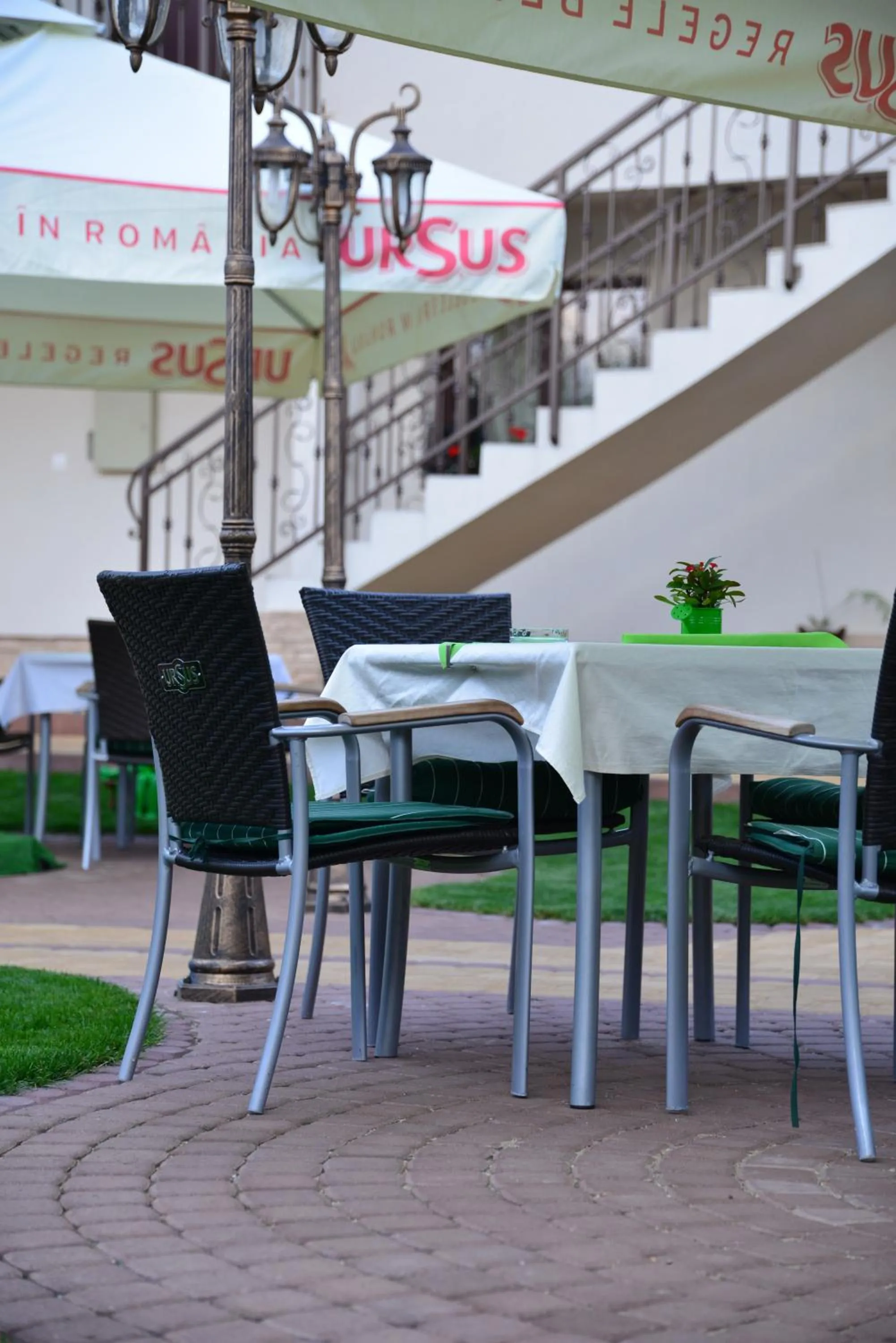 Balcony/Terrace in Pensiune Restaurant Flamingo