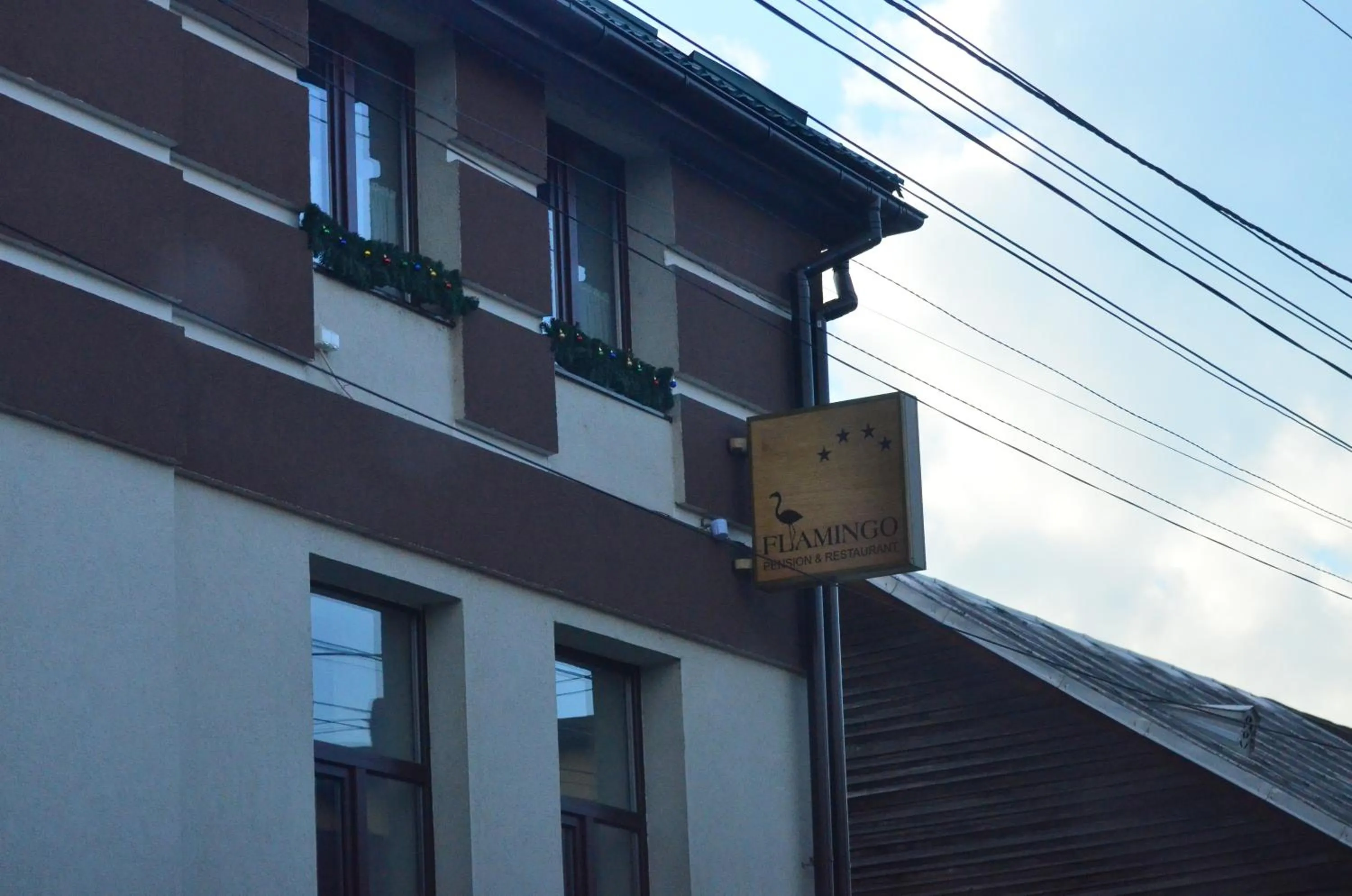 Street view in Pensiune Restaurant Flamingo