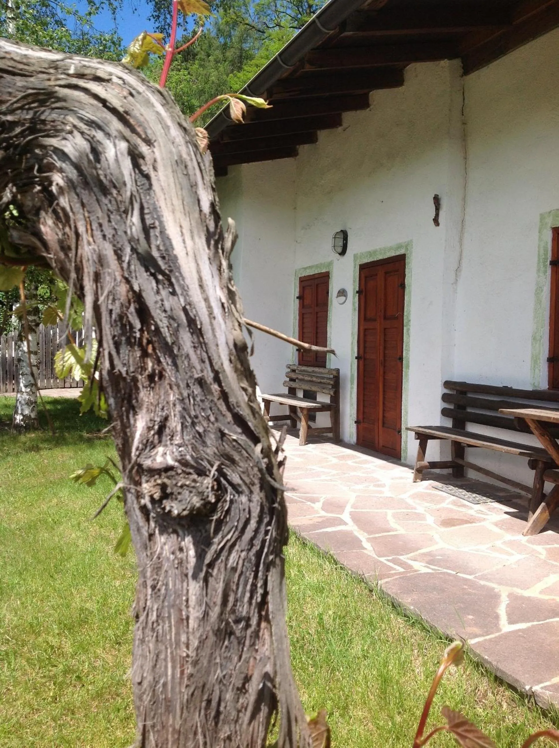 Baita cavalese giardino esclusivo