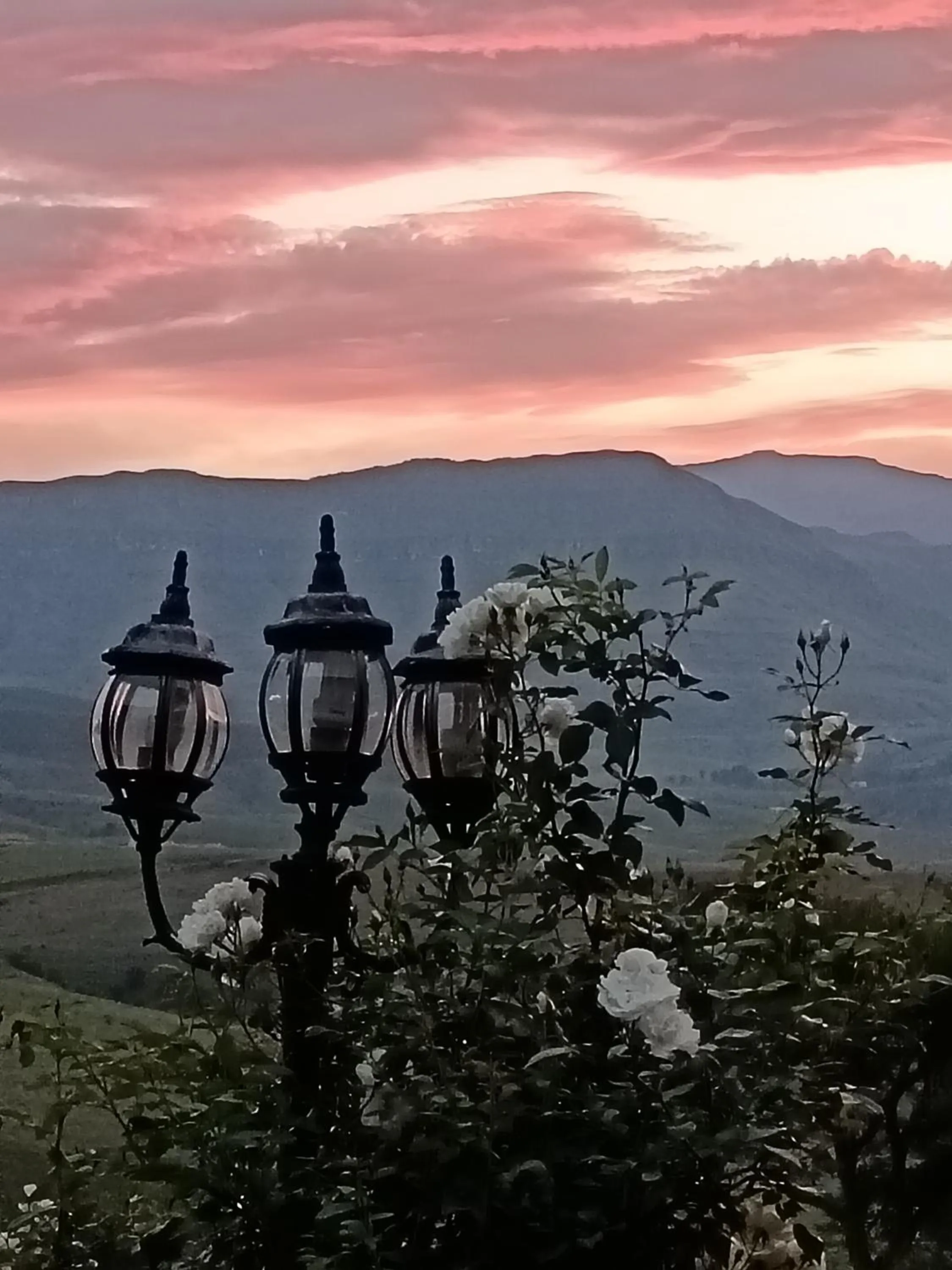 View (from property/room) in Inkungu Lodge