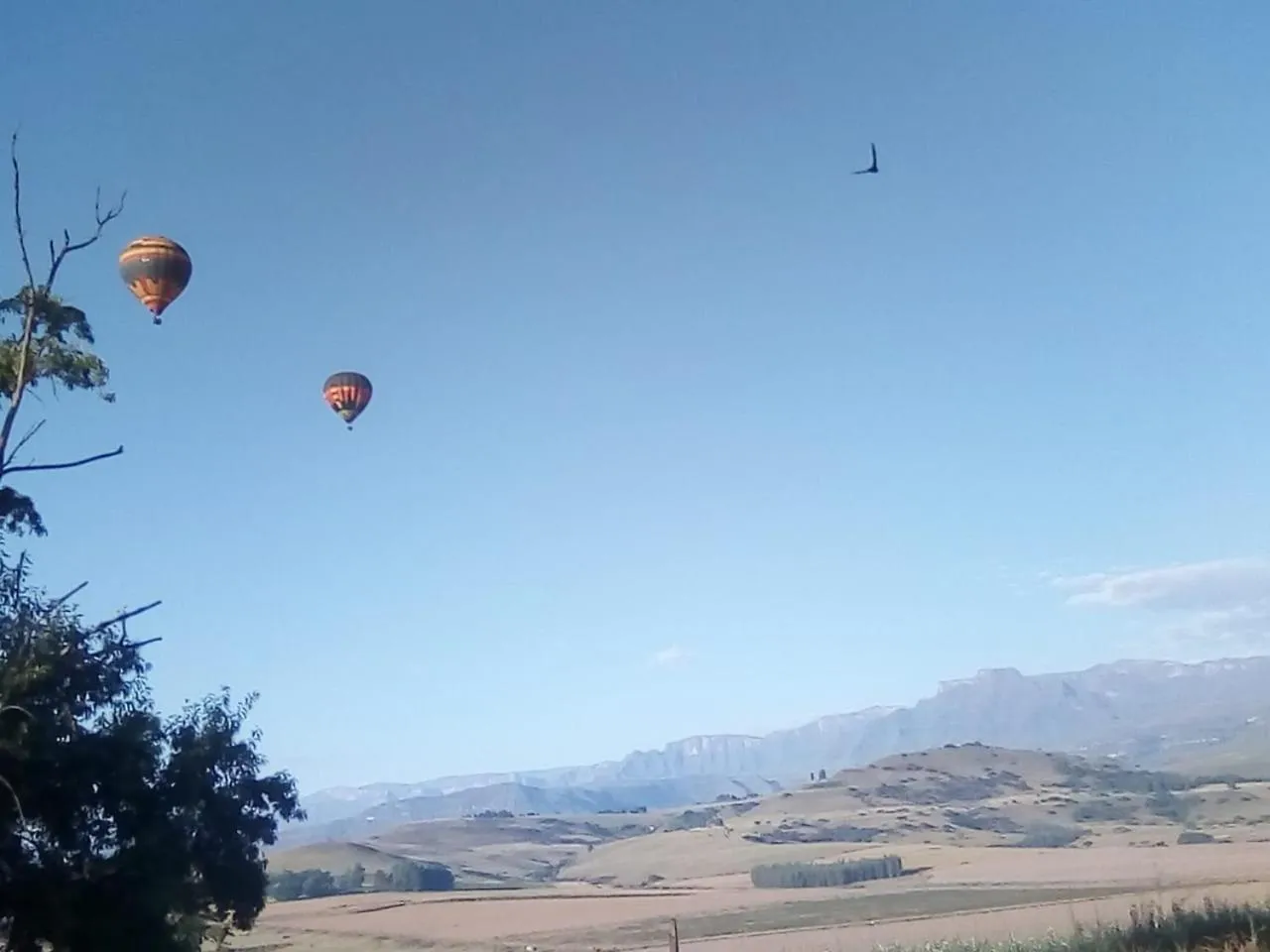 Activities in Inkungu Lodge