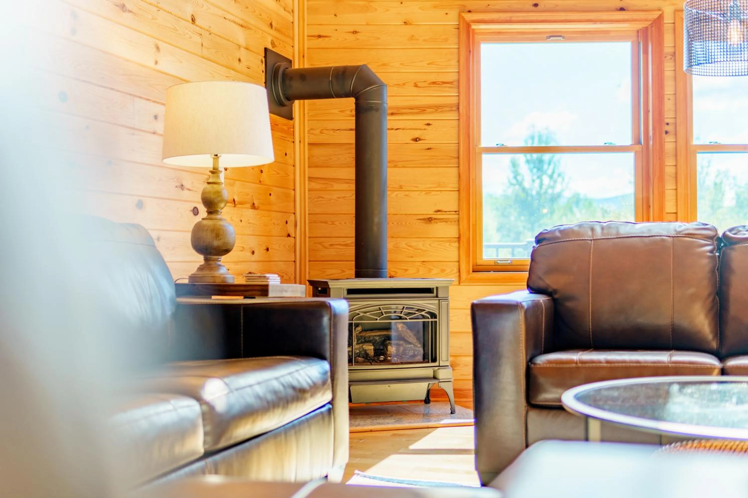 flat iron in Adirondack Alpine Cabin with Hot Tub, Near Whiteface, Lake Placid, Game Rm, Fenced Yard, Views